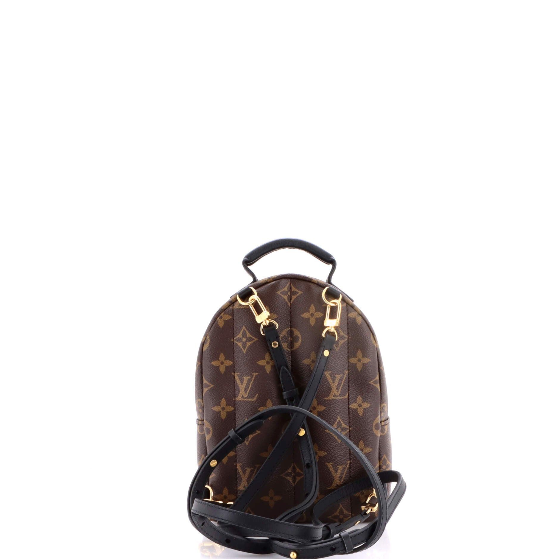 Louis Vuitton Palm Springs Backpack Size ONE SIZE - 3 Thumbnail