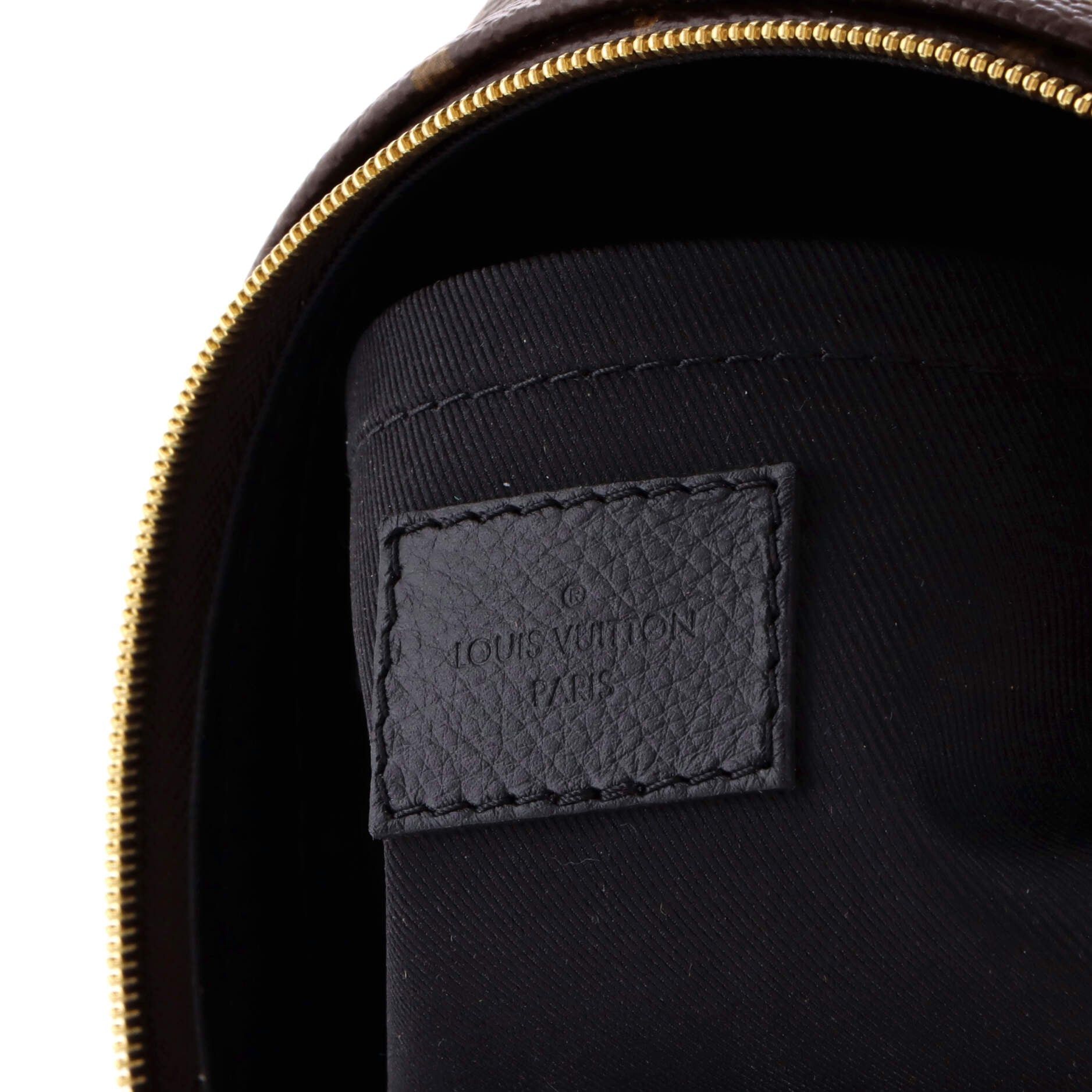 Louis Vuitton Palm Springs Backpack Size ONE SIZE - 7 Thumbnail