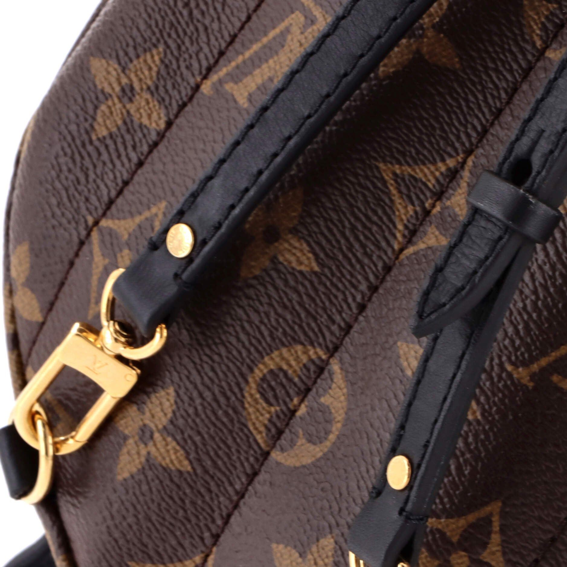 Louis Vuitton Palm Springs Backpack Size ONE SIZE - 6 Thumbnail
