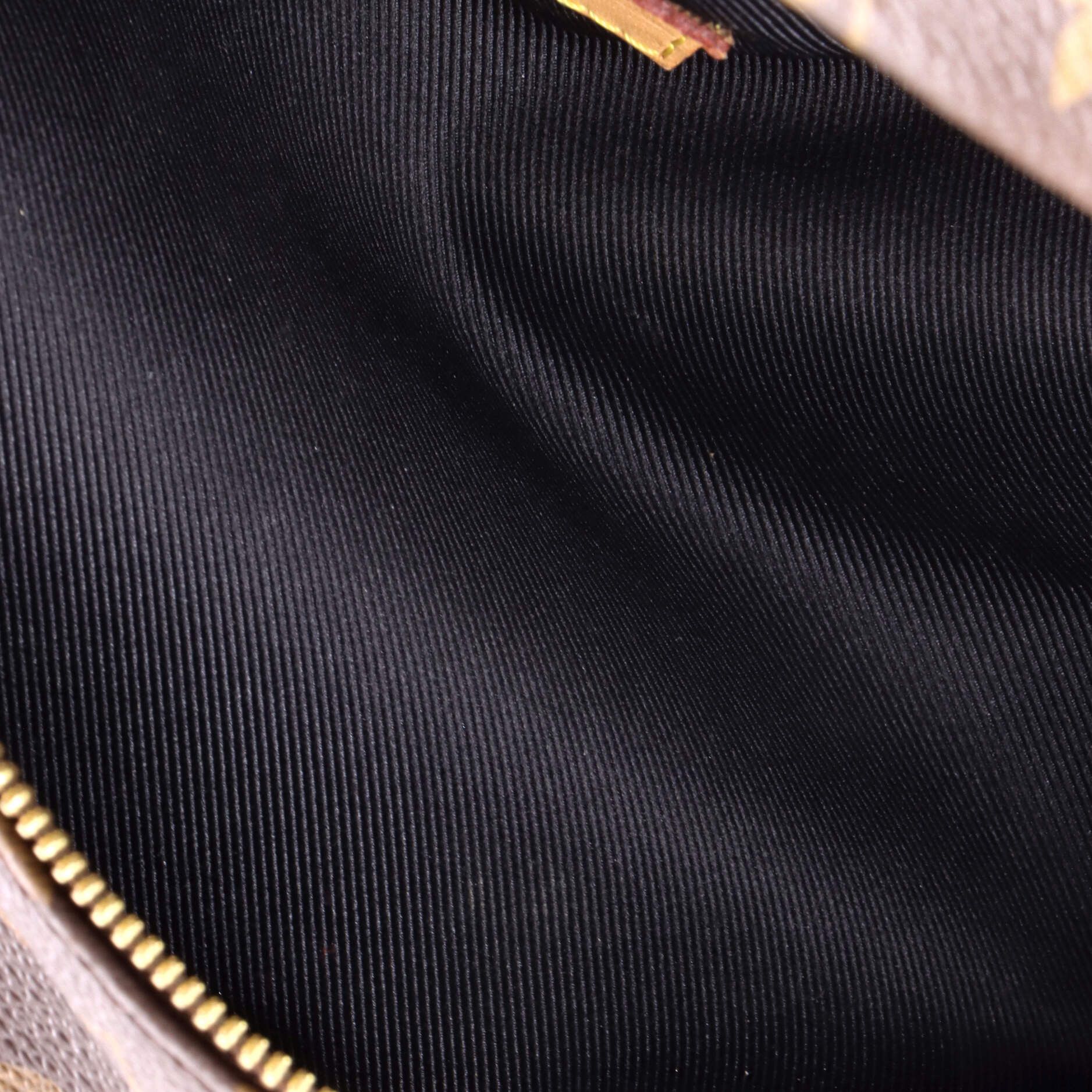 Louis Vuitton Bum Bag Size ONE SIZE - 5 Thumbnail