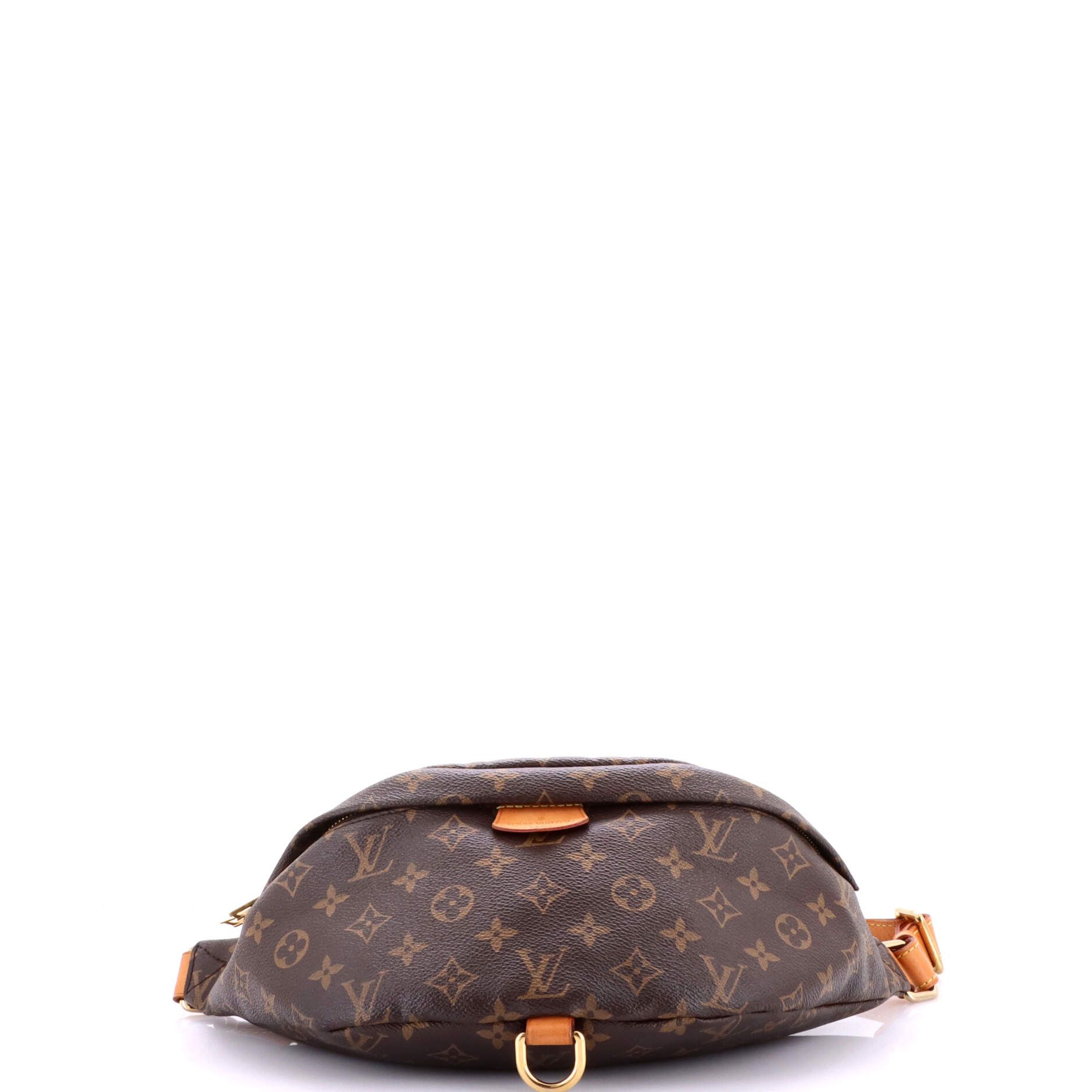 Louis Vuitton Bum Bag Size ONE SIZE - 4 Thumbnail