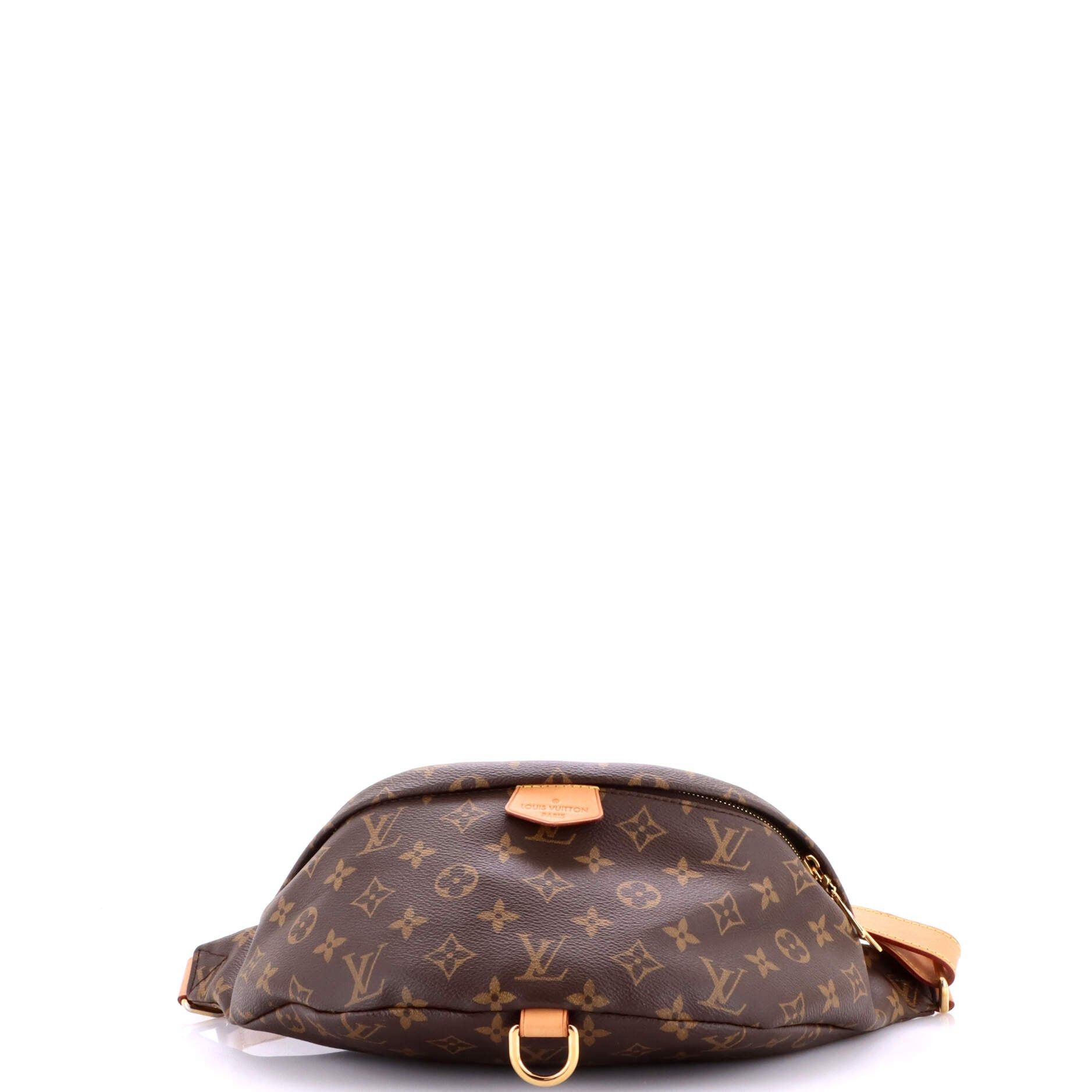 Louis Vuitton Bum Bag Size ONE SIZE - 4 Thumbnail