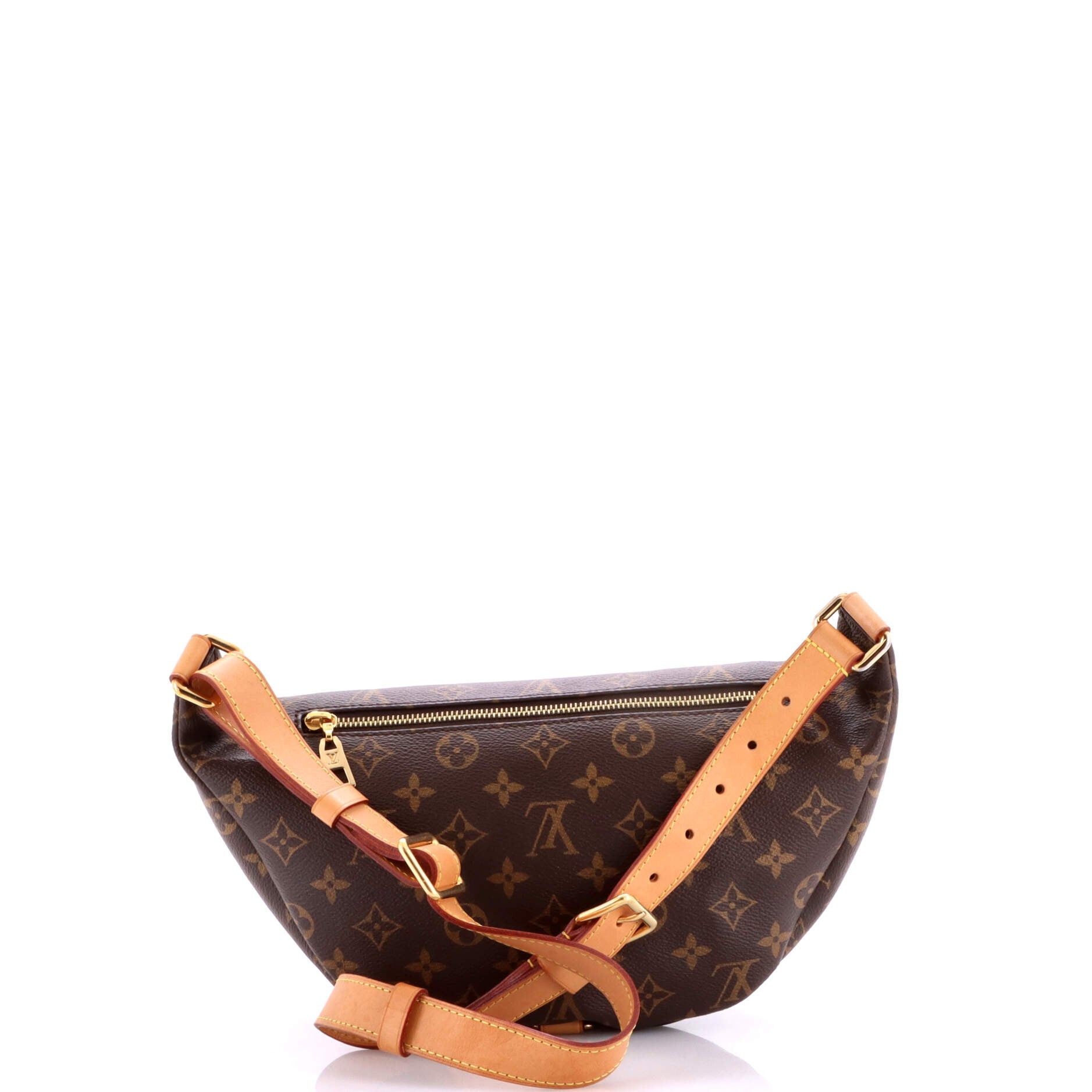 Louis Vuitton Bum Bag Size ONE SIZE - 3 Thumbnail