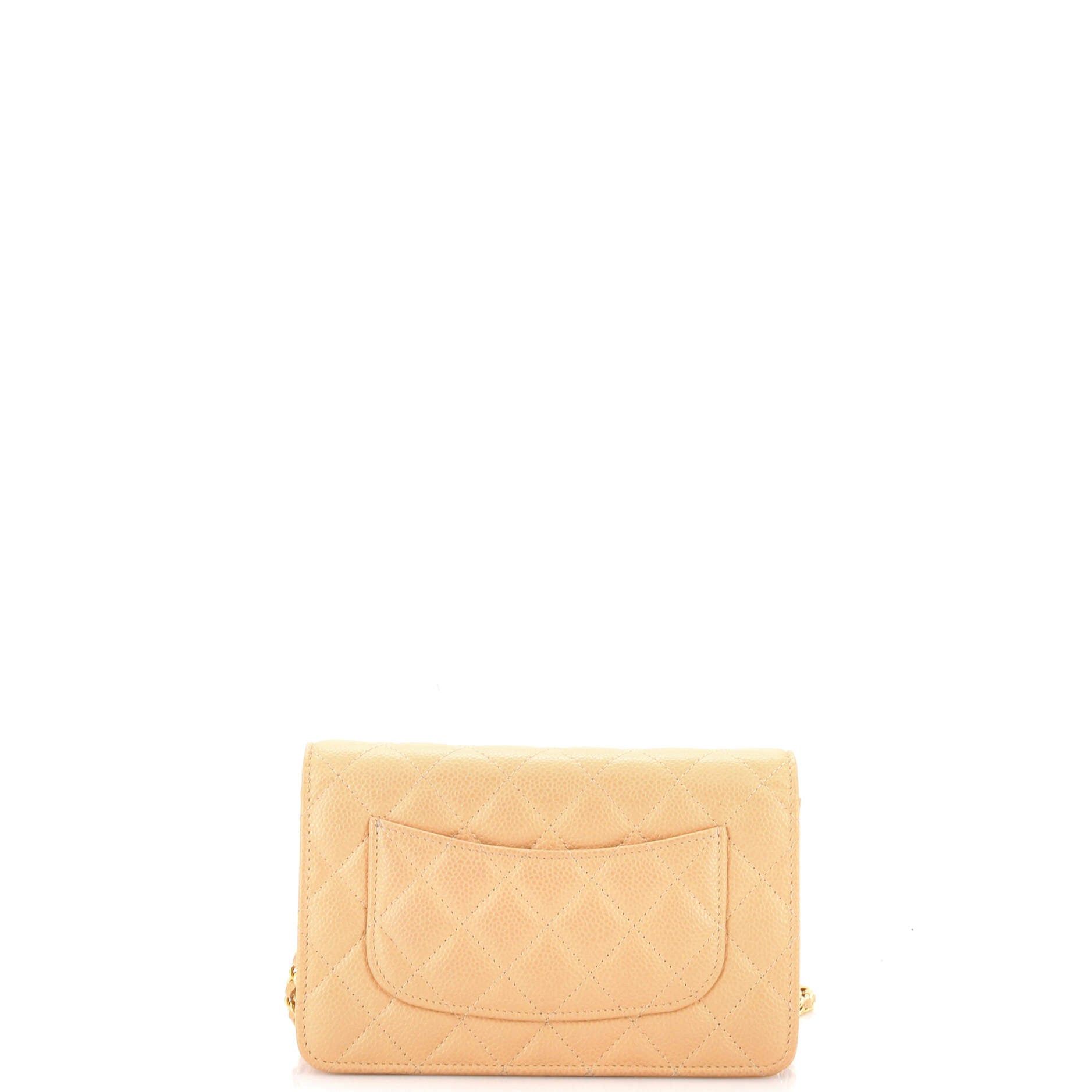 Chanel Wallet on Chain Size ONE SIZE - 3 Thumbnail