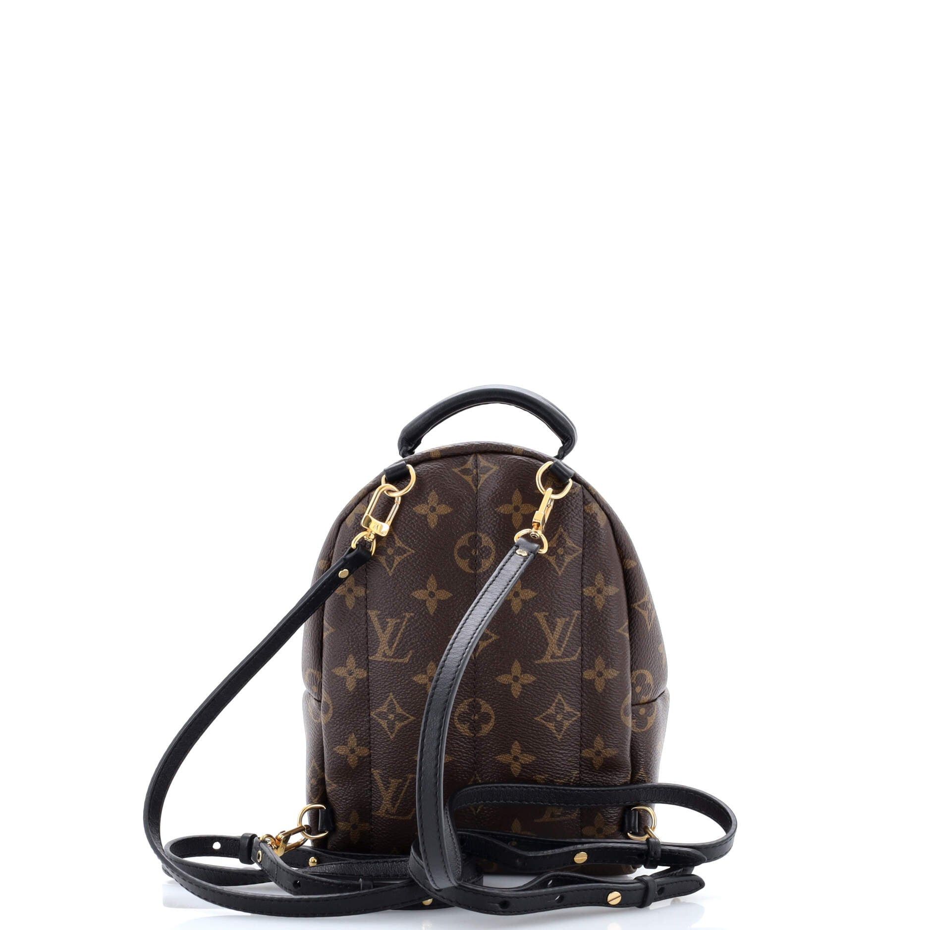 Louis Vuitton Palm Springs Backpack Size ONE SIZE - 3 Thumbnail