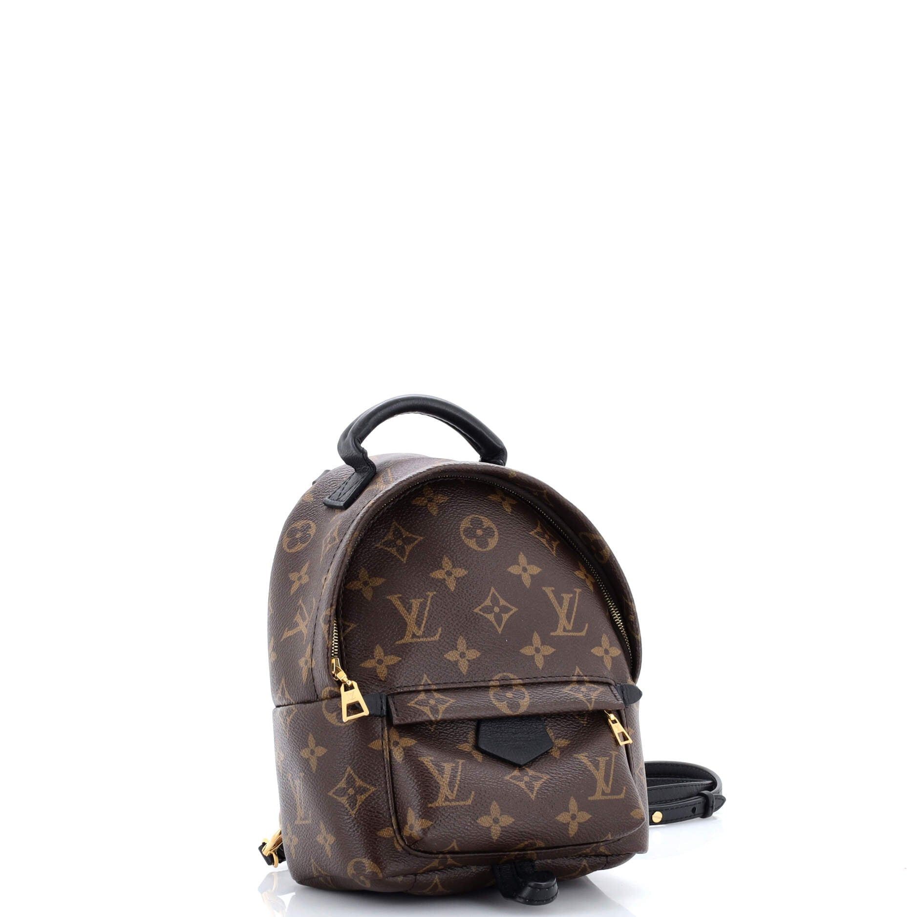 Louis Vuitton Palm Springs Backpack Size ONE SIZE - 2 Thumbnail