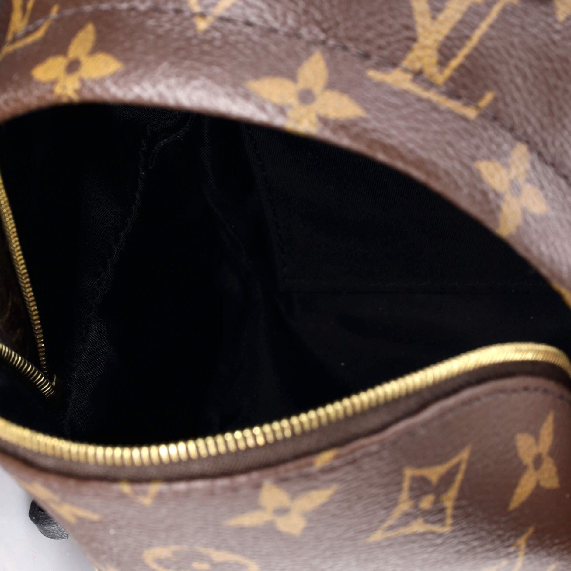 Louis Vuitton Palm Springs Backpack Size ONE SIZE - 5 Thumbnail