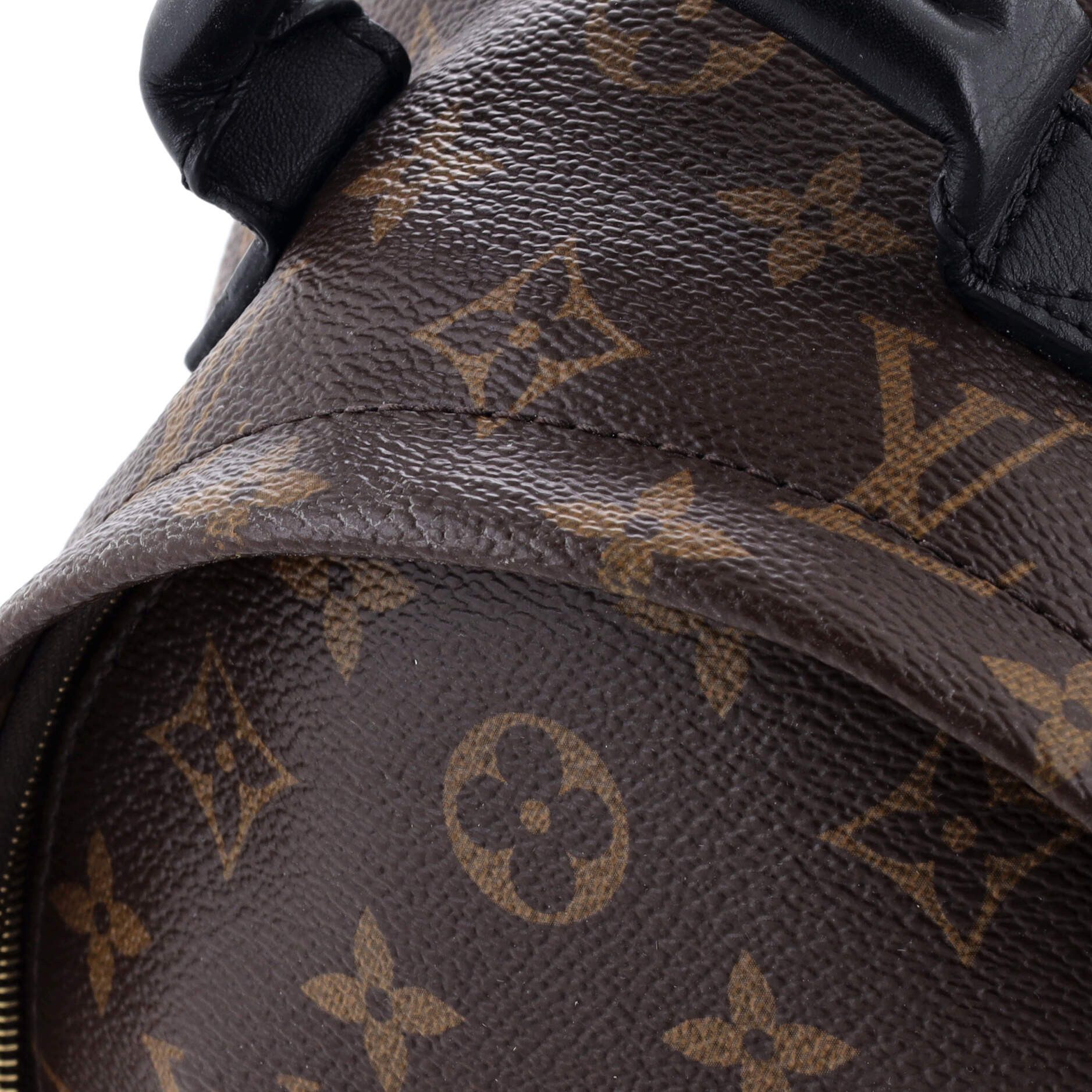Louis Vuitton Palm Springs Backpack Size ONE SIZE - 7 Thumbnail