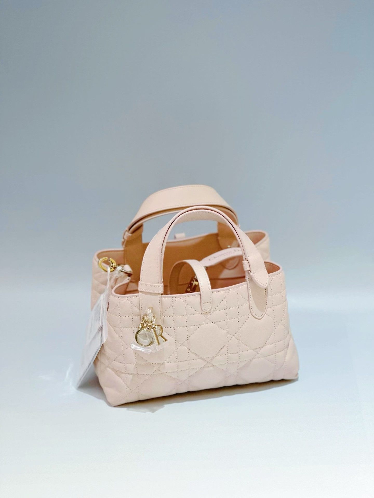 Dior Pre-loved Bag Brand new condition Size ONE SIZE - 2 Thumbnail