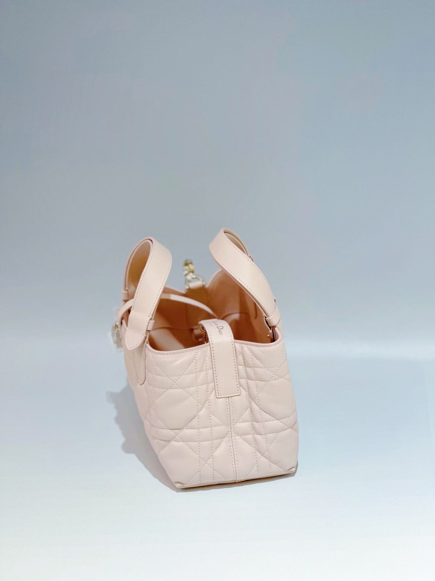 Dior Pre-loved Bag Brand new condition Size ONE SIZE - 4 Thumbnail