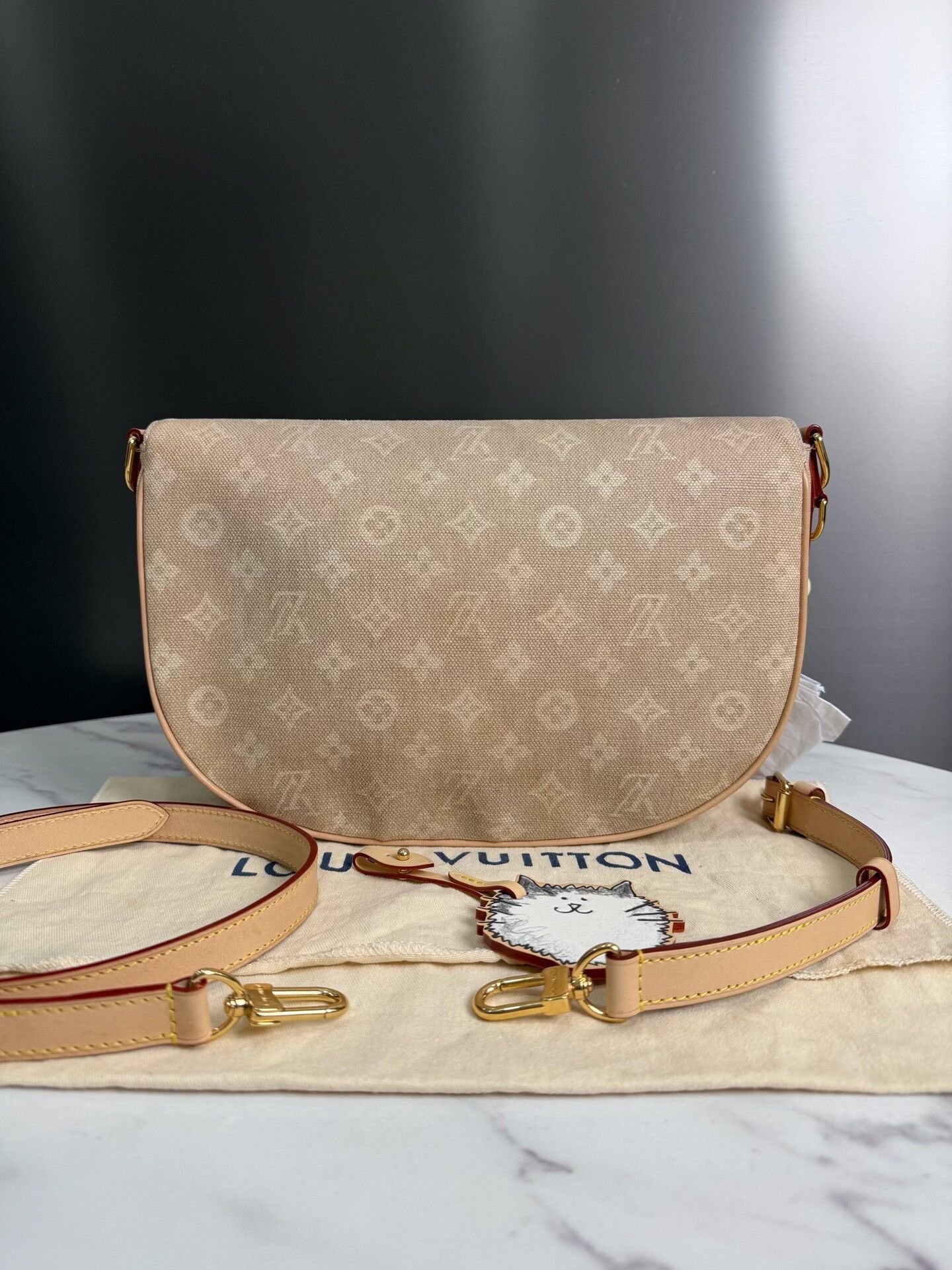 Louis Vuitton Pre-loved Bag Very good condition Size ONE SIZE - 3 Thumbnail
