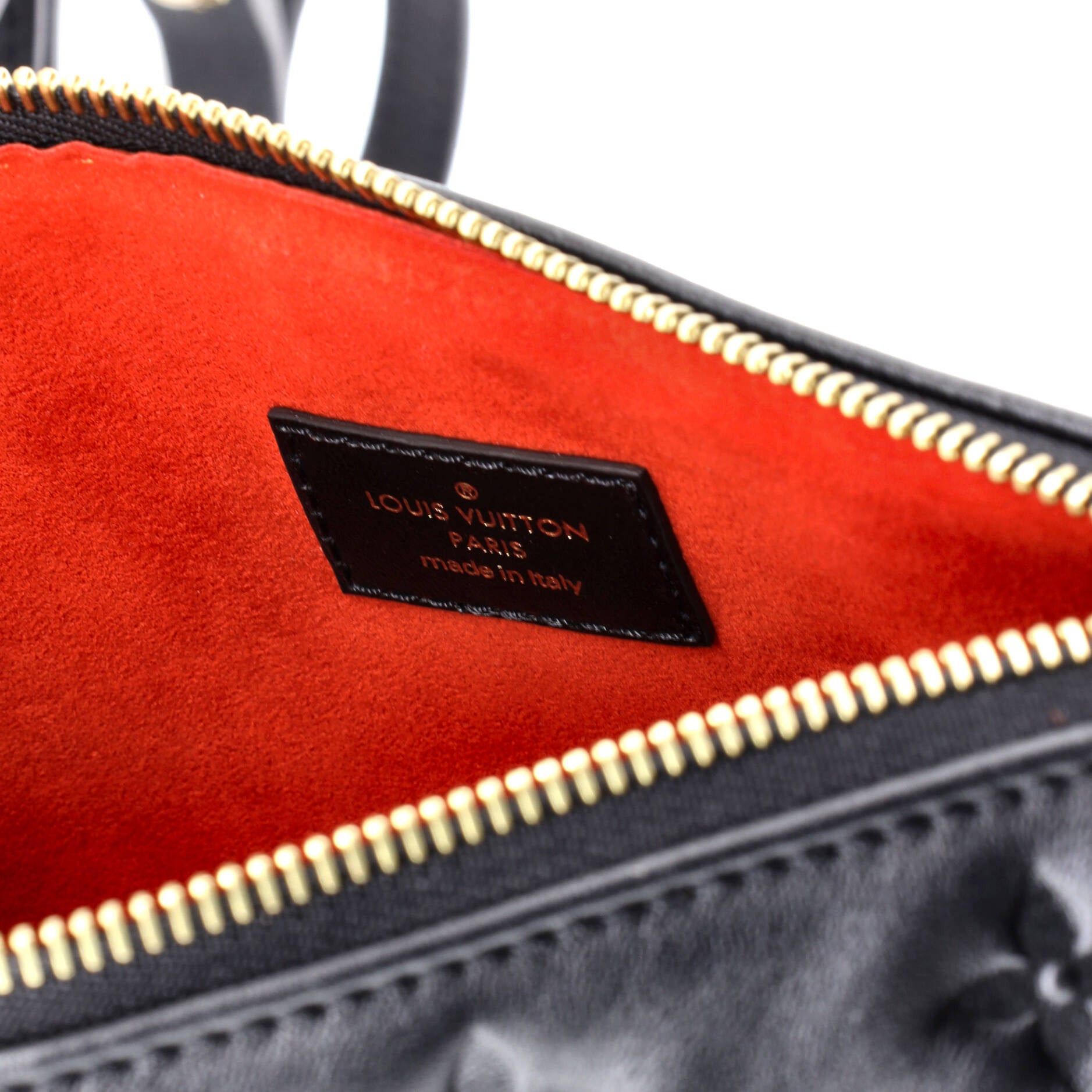 Louis Vuitton Coussin Bag Size ONE SIZE - 6 Thumbnail