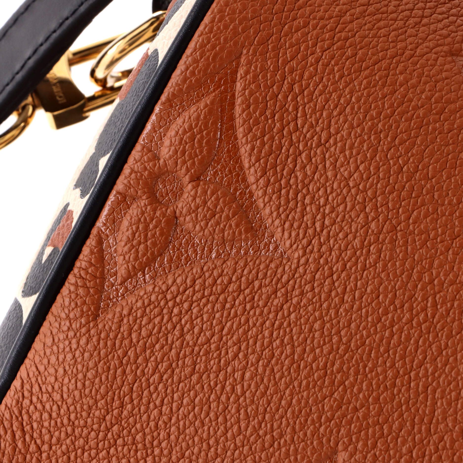 Louis Vuitton Speedy Bandouliere Bag Size ONE SIZE - 6 Thumbnail
