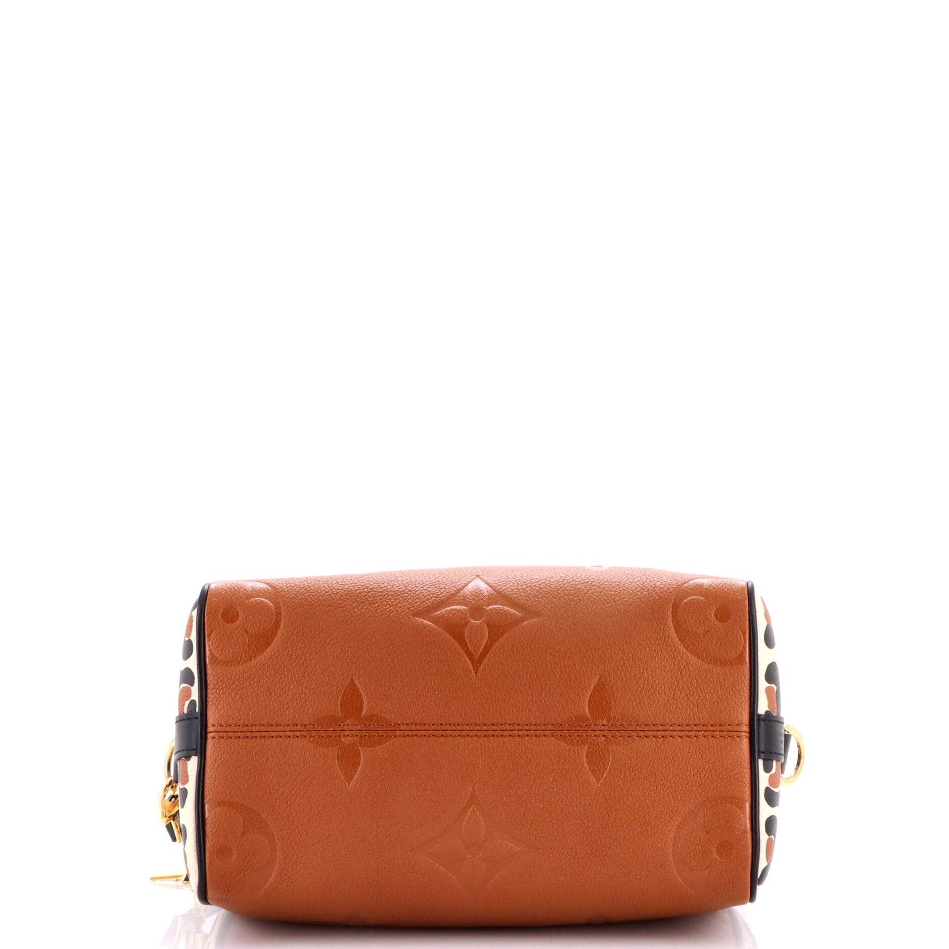 Louis Vuitton Speedy Bandouliere Bag Size ONE SIZE - 4 Thumbnail