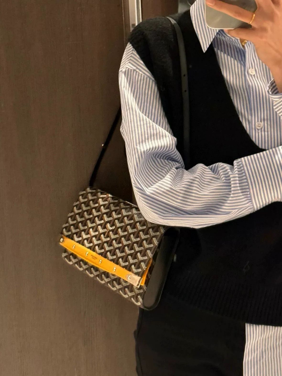 Goyard Pre-loved Bag Brand new condition Size ONE SIZE - 9 Thumbnail