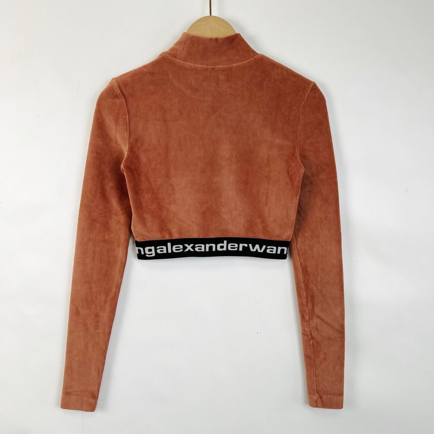 Alexander Wang Alexander Wang Brown Corduroy Mock Neck T-shirt Size XS / US 0-2 / IT 36-38 - 2 Thumbnail