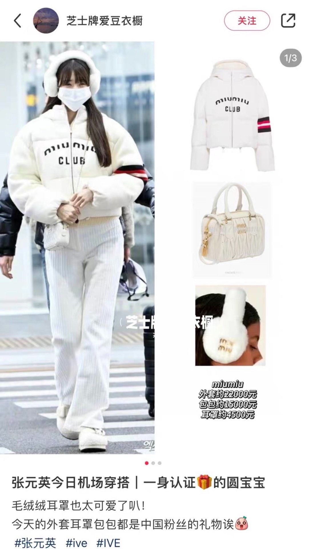 Miu Miu Miumiu Letter Colorblock Hooded Down Jacket Size S / US 4 / IT 40 - 9 Thumbnail