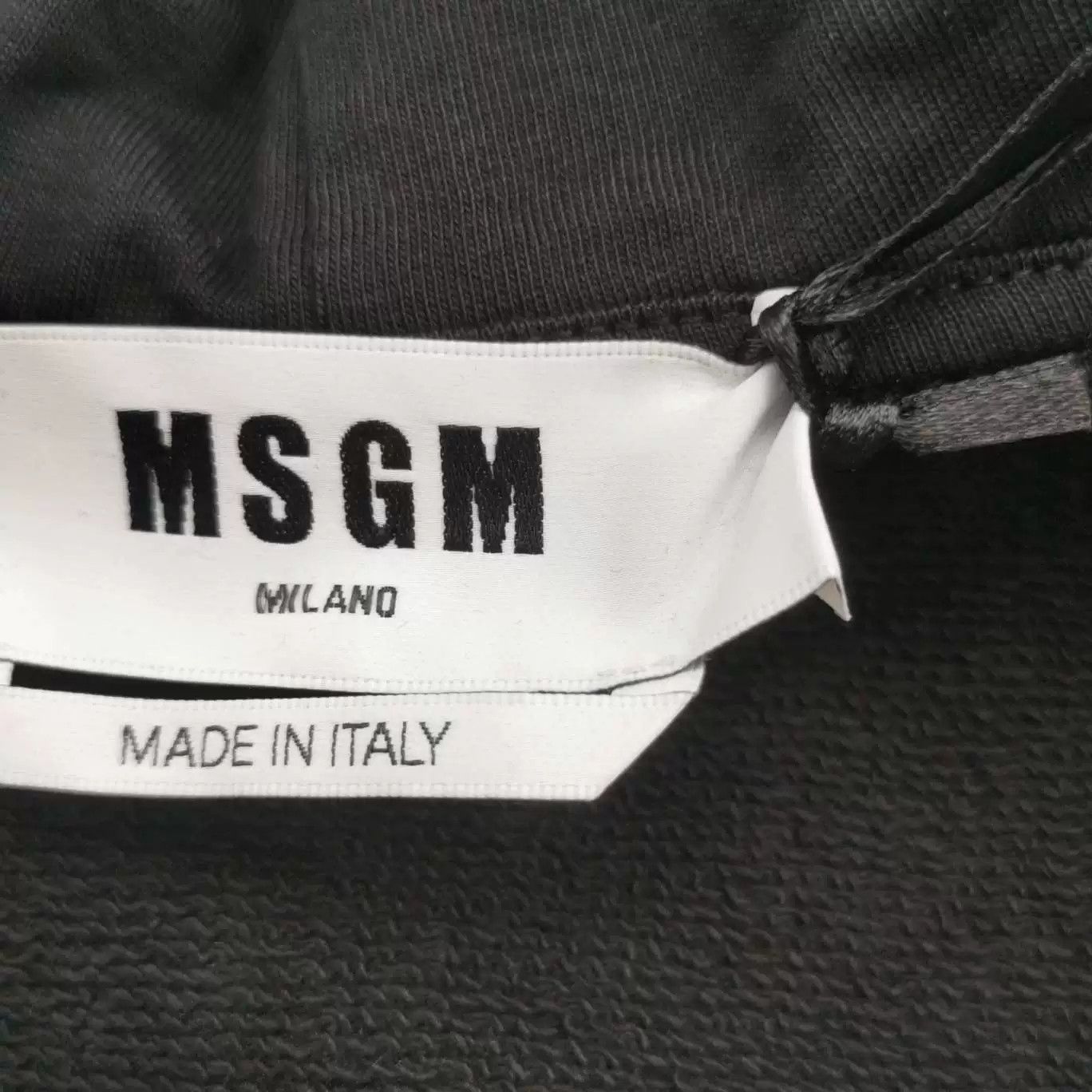 MSGM MSGM Floral Logo Cotton Hoodie M Size US M / EU 48-50 / 2 - 5 Thumbnail