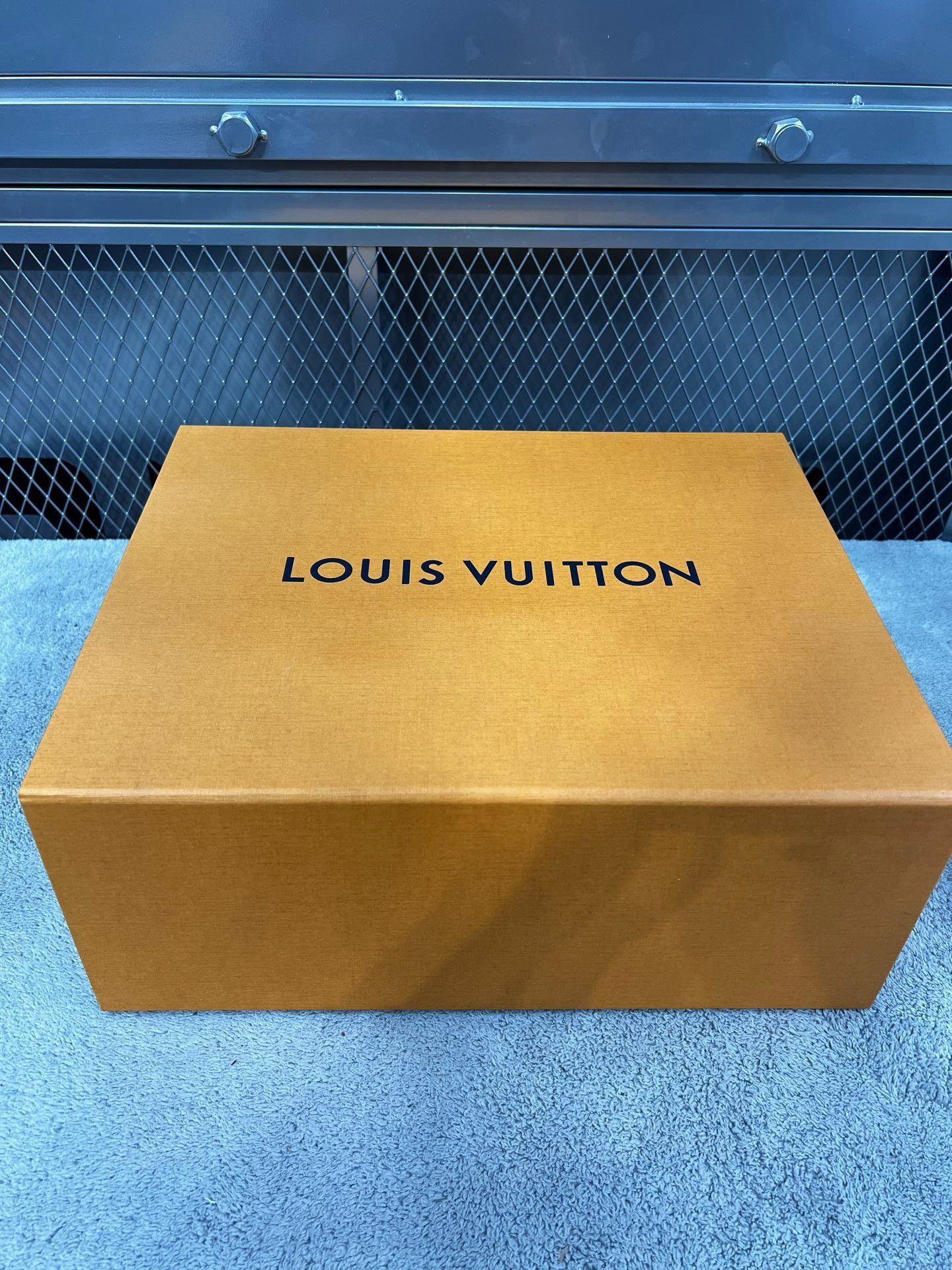 Louis Vuitton Louis Vuitton Training Blue Lowtop Sneakers 43.5 Men Size US 10.5 / EU 43-44 - 8 Thumbnail