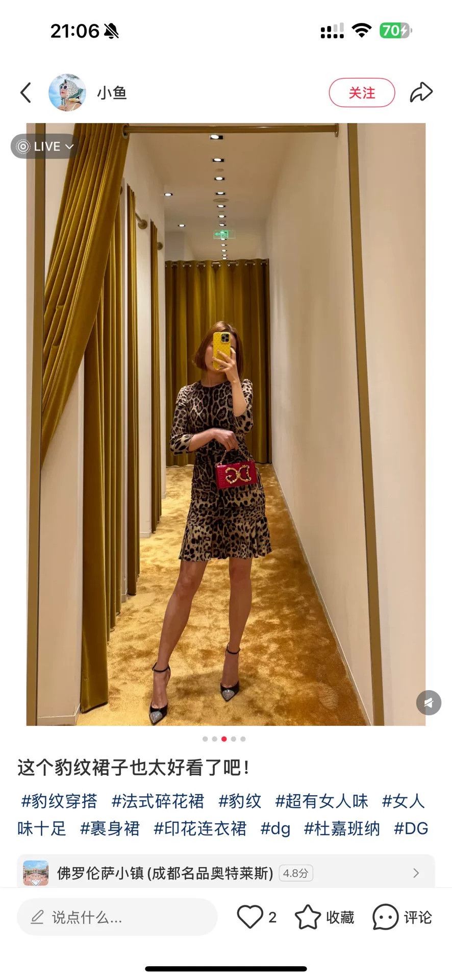 Dolce & Gabbana DG Classic Leopard Print Dress Size S / US 4 / IT 40 - 5 Thumbnail