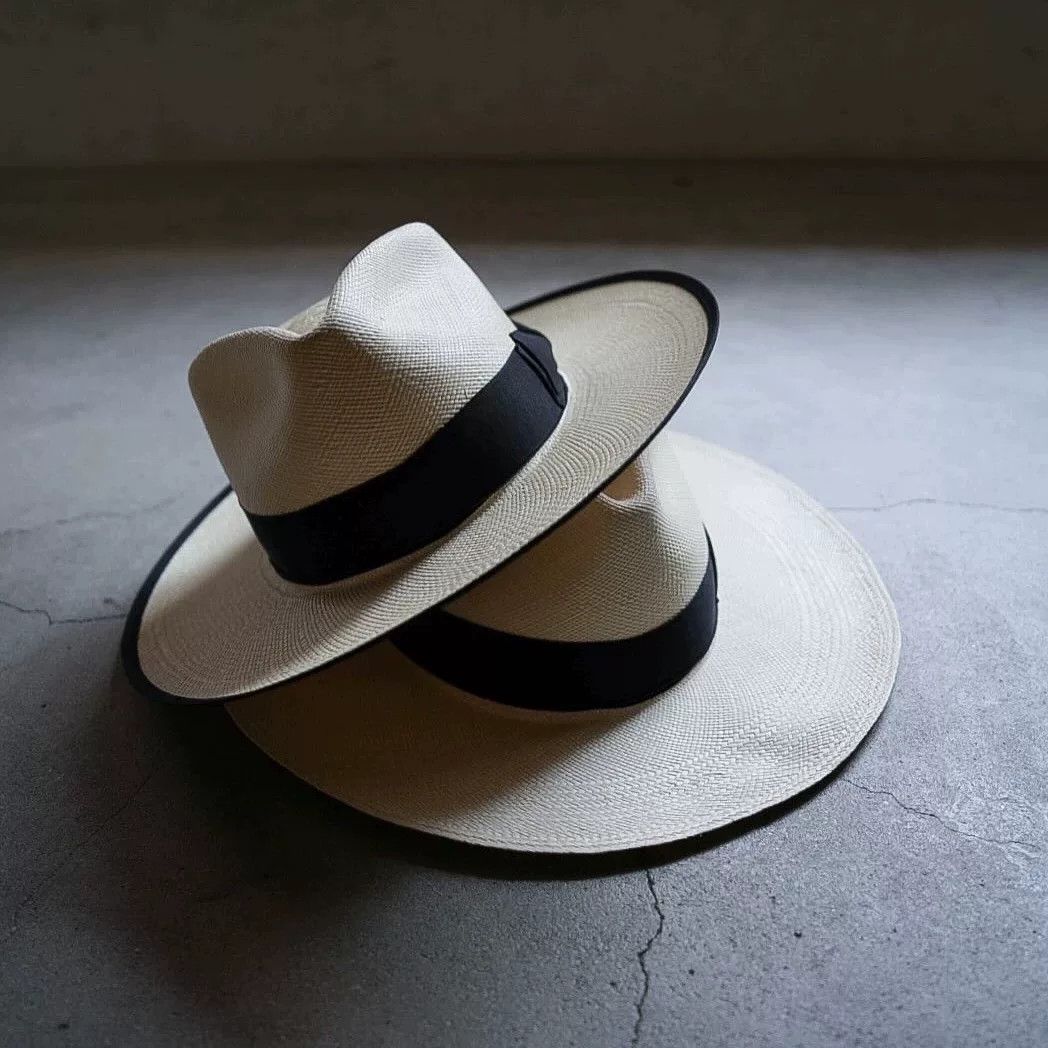 THE H.W.DOG&CO. H.W.DOG New Wide-Brim Silk Edge Panama Hat Size ONE SIZE - 3 Thumbnail