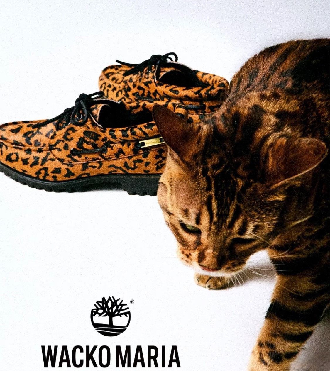 Wacko Maria Timberland x Wacko Maria Boat Shoes Size US 8.5 / EU 41-42 - 7 Thumbnail