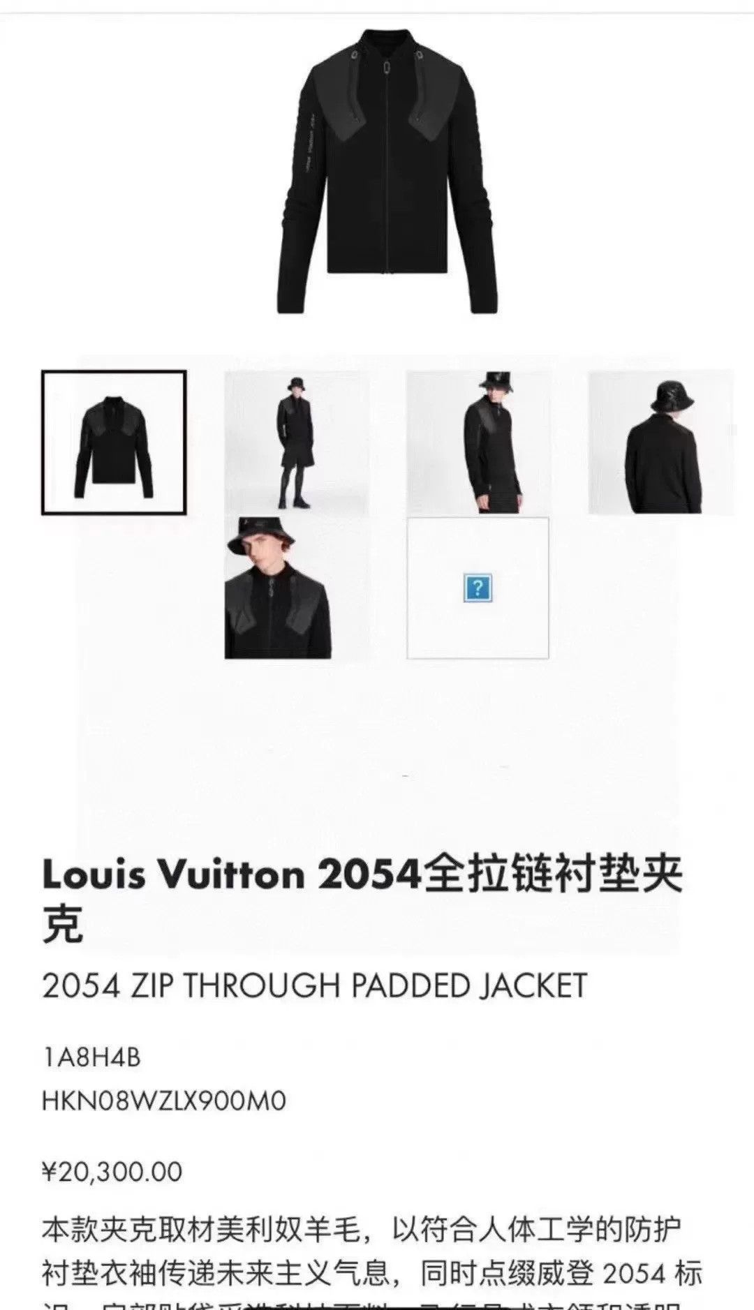 Louis Vuitton Louis Vuitton 2054 Padded Jacket Size US L / EU 52-54 / 3 - 9 Thumbnail