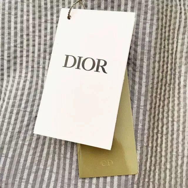 Dior Dior FW22 Qixi Striped Mid-Rise Shorts Size US 30 / EU 46 - 7 Thumbnail