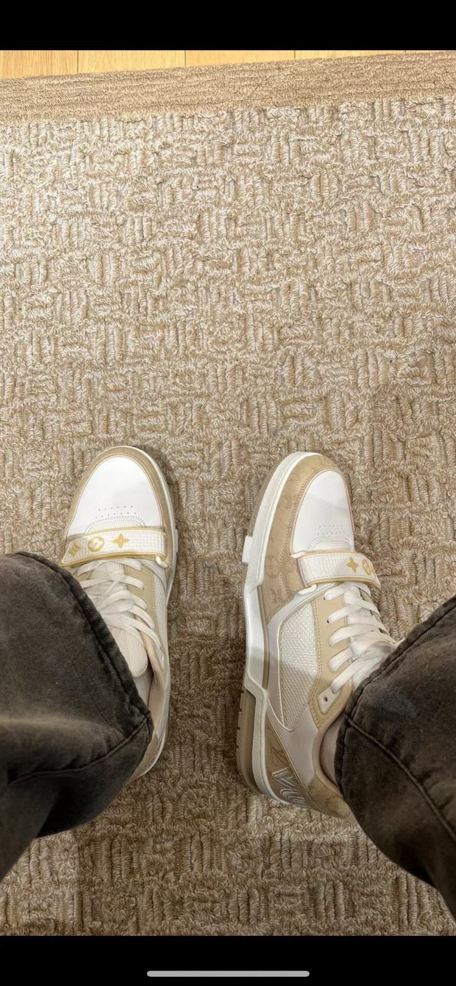 Louis Vuitton Louis Vuitton Trainer Men's Low-Top Sneakers Size US 9 / EU 42 - 7 Thumbnail