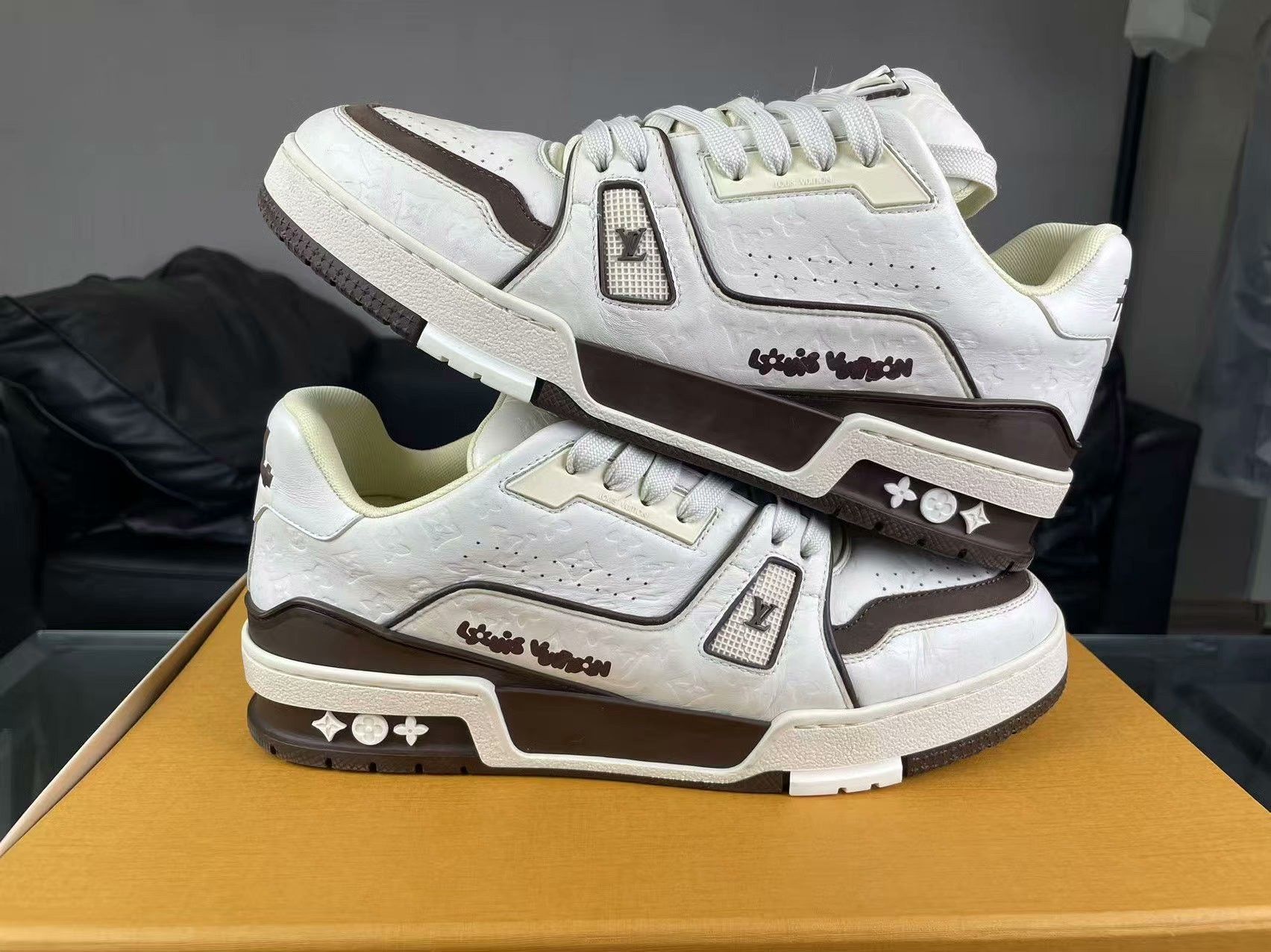 Louis Vuitton Louis Vuitton Training Lowtop Sneakers 40 Men Size US 7.5 / EU 40-41 - 6 Thumbnail