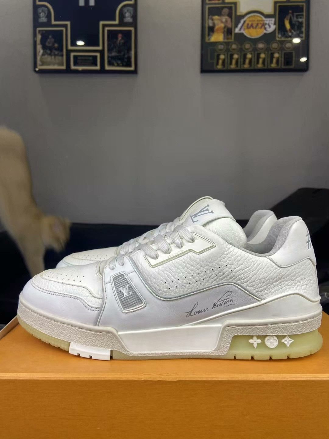 Louis Vuitton Louis Vuitton Training White Lowtop Sneakers 42 Men Size US 9 / EU 42 - 3 Thumbnail