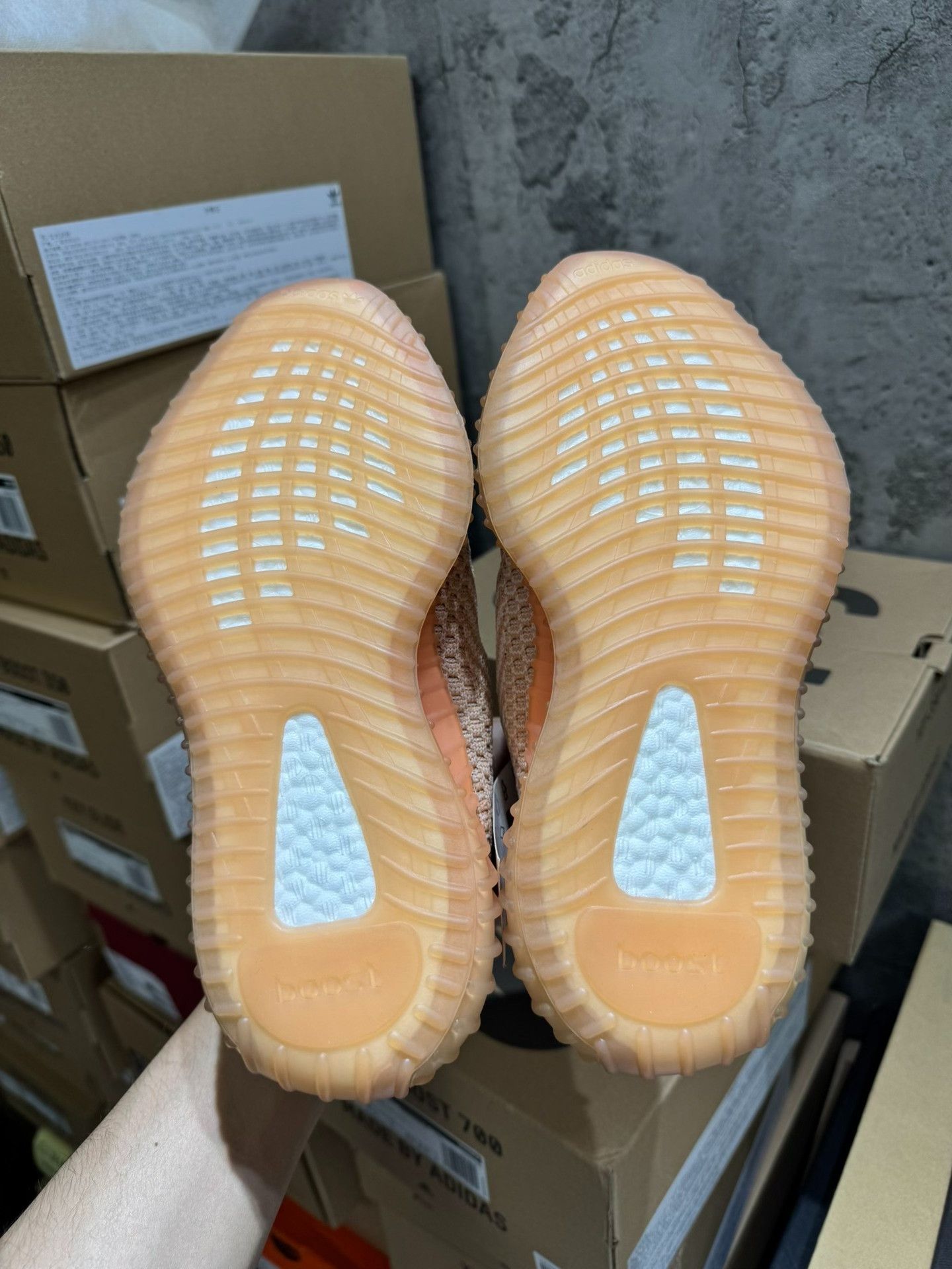 Yeezy Yeezy Limited Lowtop Sneakers 36 Men Size US 5 / EU 37 - 5 Thumbnail