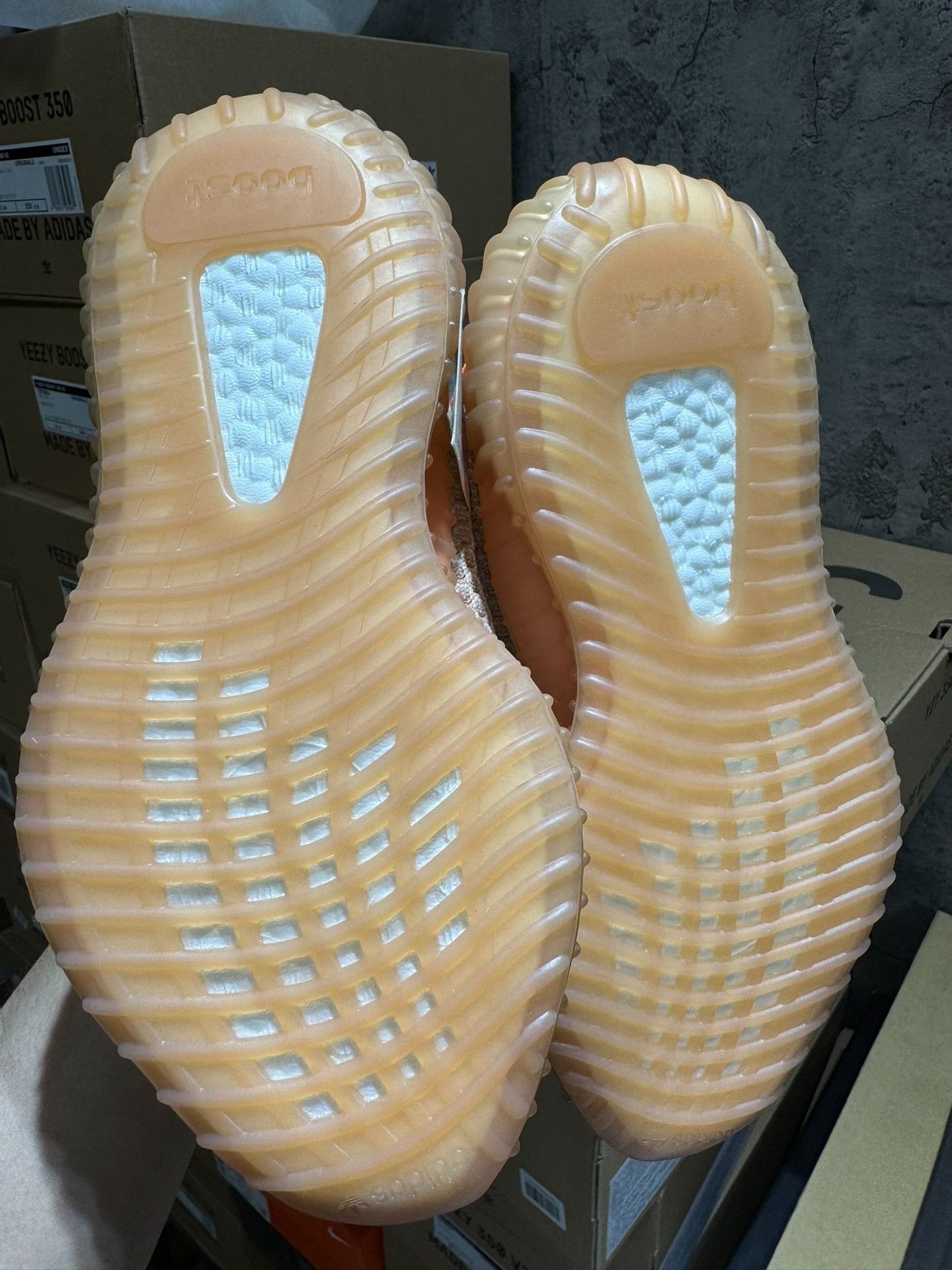 Yeezy Yeezy Limited Lowtop Sneakers 36 Men Size US 5 / EU 37 - 3 Thumbnail