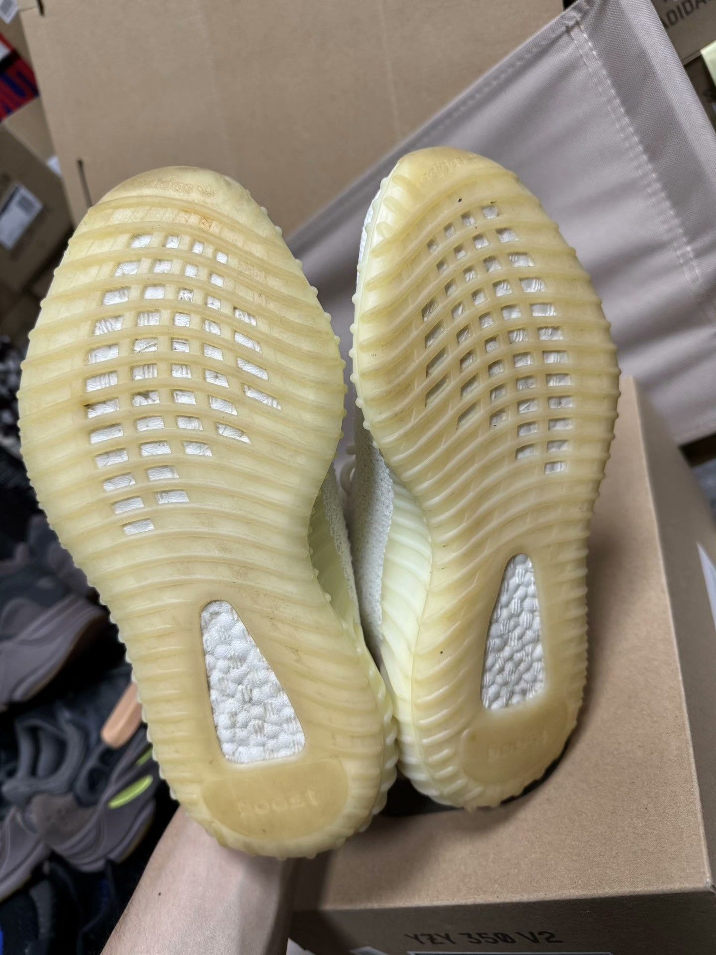 Adidas Adidas YEEZY350 White Lowtop Sneakers 36 Men Size US 5 / EU 37 - 5 Thumbnail