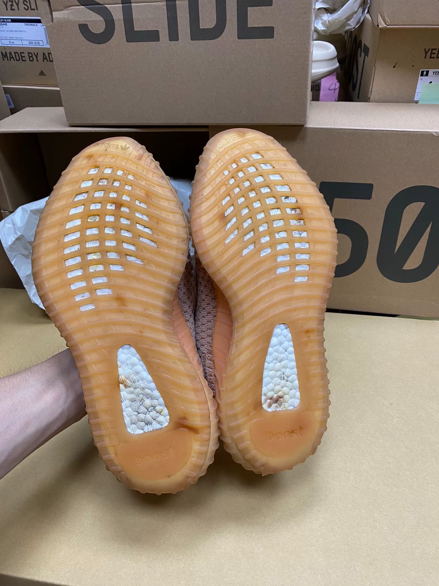 Yeezy Yeezy Limited Lowtop Sneakers 38 Men Size US 6 / EU 39 - 8 Thumbnail