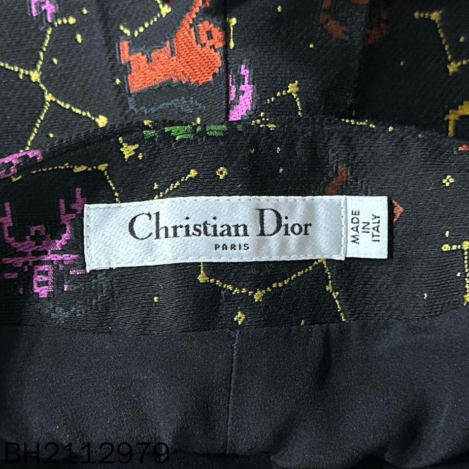 Dior Dior Embroidered Shorts 34 Men Size US 34 / EU 50 - 4 Thumbnail