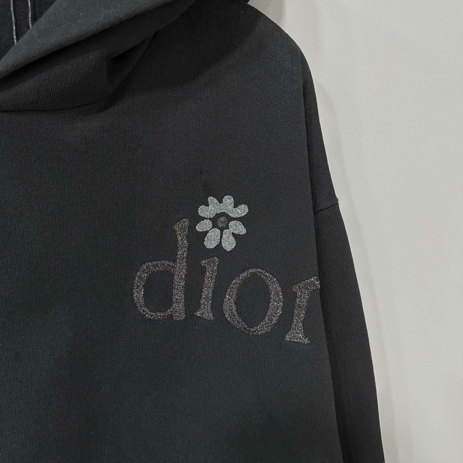 Dior Dior Retro Pink Hoodie L Men Size US L / EU 52-54 / 3 - 4 Thumbnail