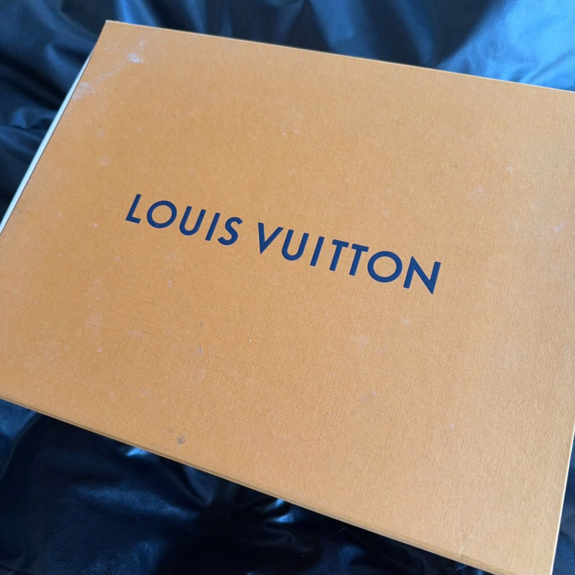 Louis Vuitton Louis Vuitton Training Green Lowtop Sneakers 7 Men Size US 7 / EU 40 - 8 Thumbnail
