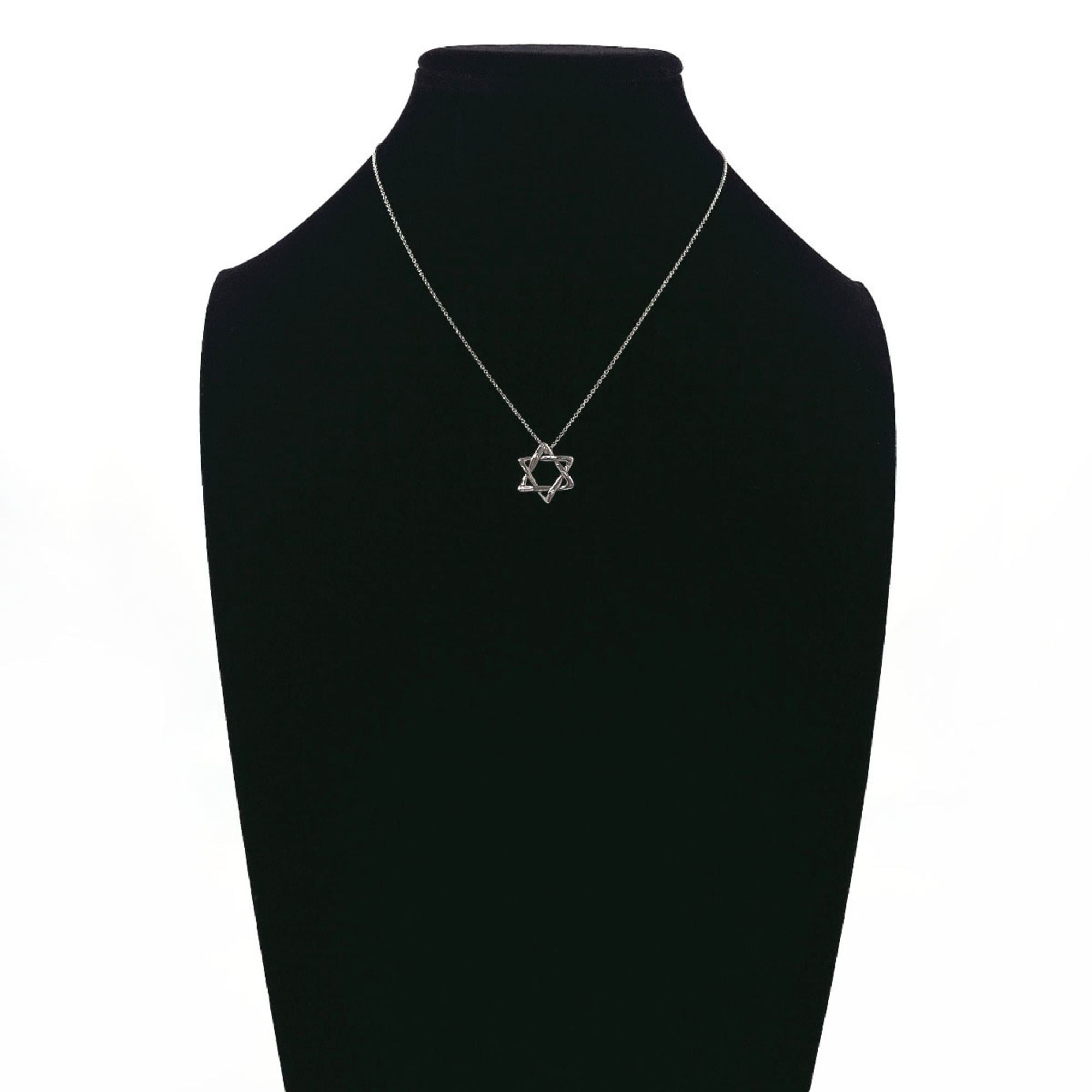 Tiffany & Co. TIFFANY&Co. Tiffany Star of David Elsa Peretti Necklace, Sterling Silver 925, Women's Size ONE SIZE - 6 Thumbnail