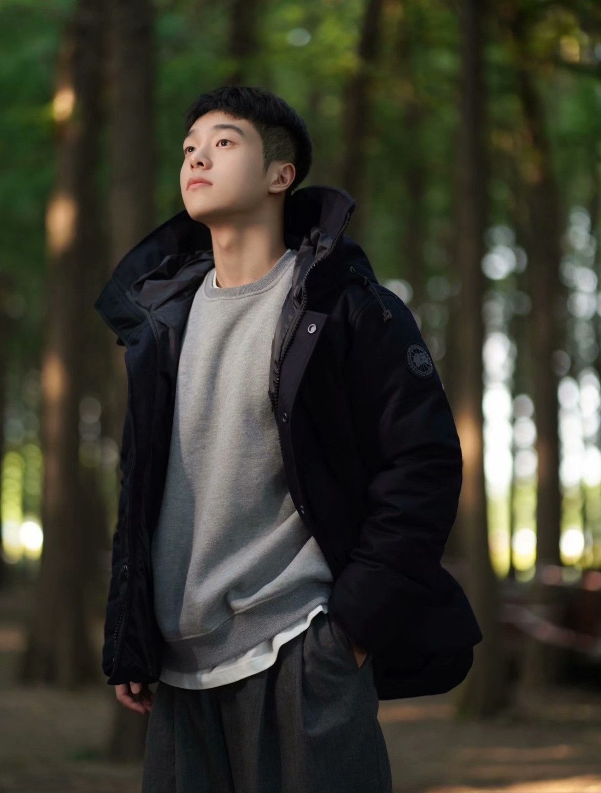 Canada Goose Canada Goose Down Gray Heavy Coat m Men Size US M / EU 48-50 / 2 - 8 Thumbnail