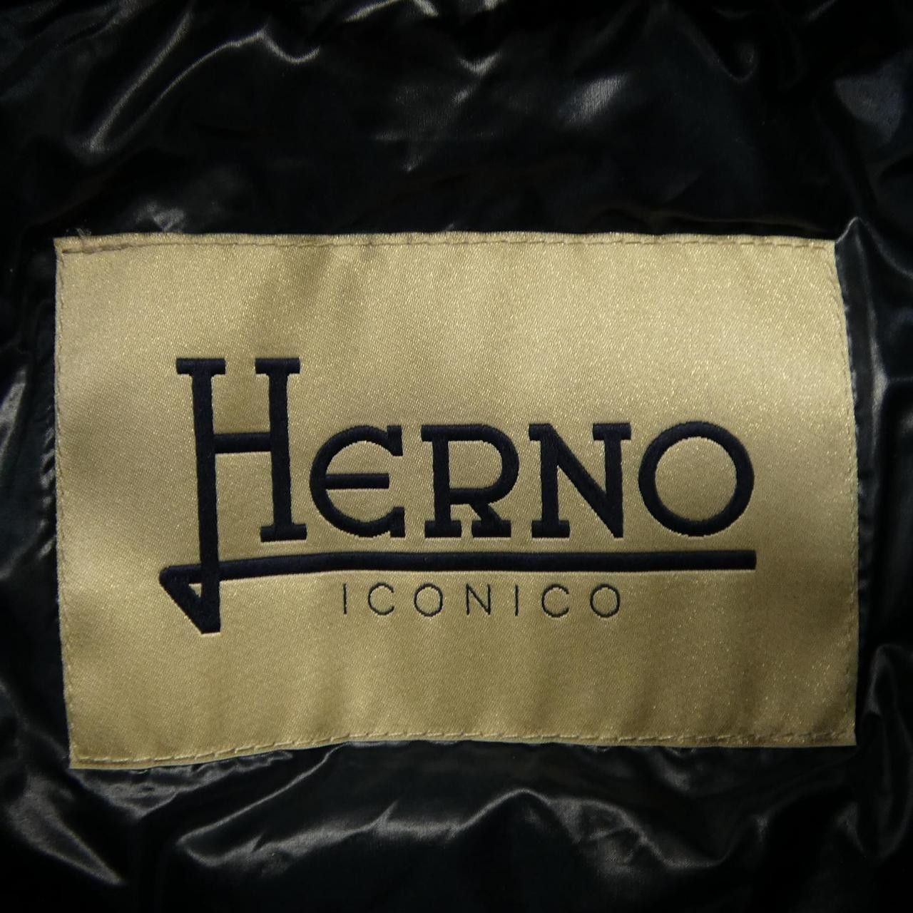 Other Other Herno Iconico Sophia Jacket Down Jacket Textile Outerwear PI0046DIC DUTY FREE for USA Size ONE SIZE - 5 Thumbnail