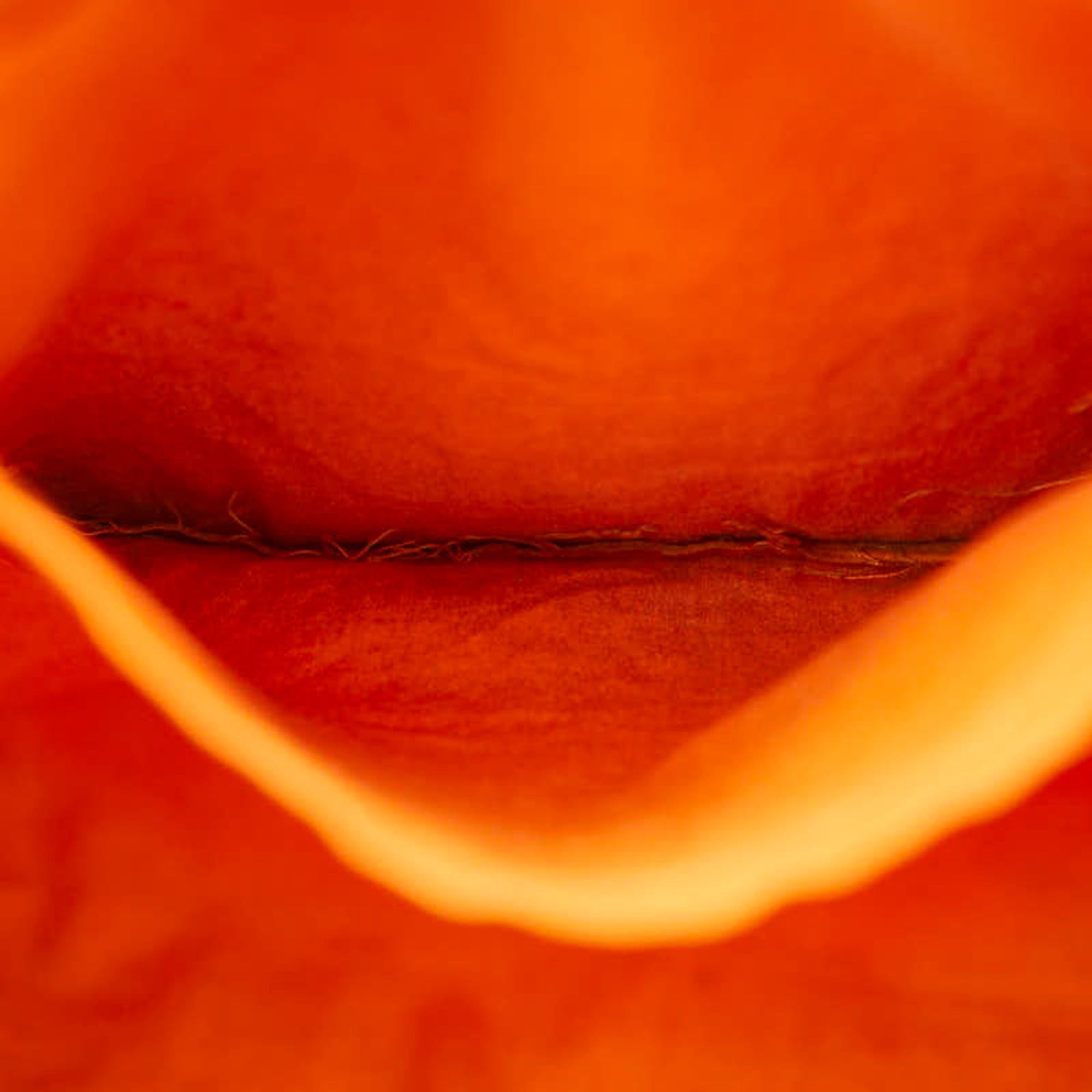 Hermes Hermes Amedaba Diago GM Tote Bag Handbag Orange Wool Cotton Women's HERMES Size ONE SIZE - 10 Thumbnail