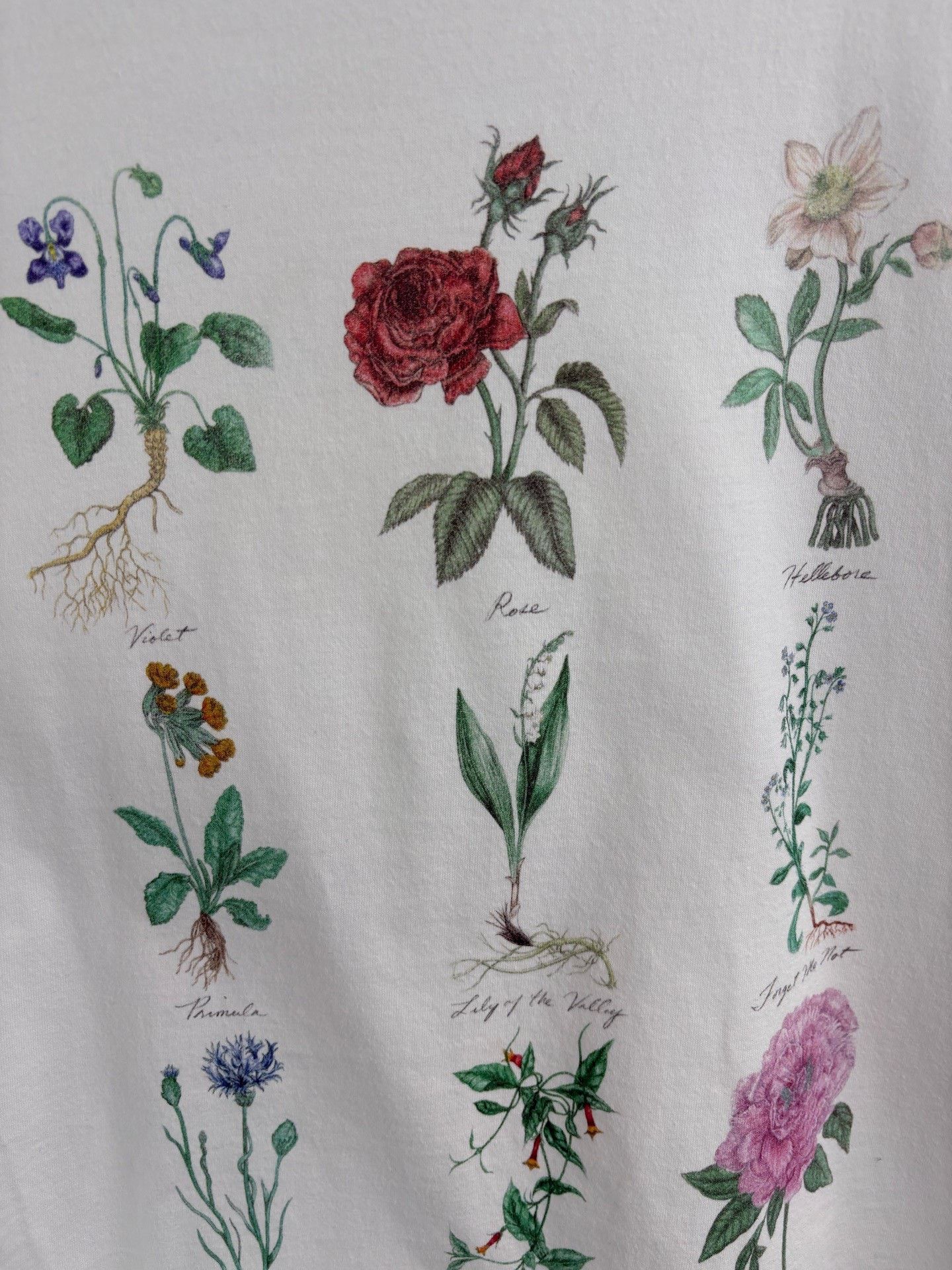 Dior DIOR Floral Plant Specimen Print Tee Size M / US 6-8 / IT 42-44 - 3 Thumbnail