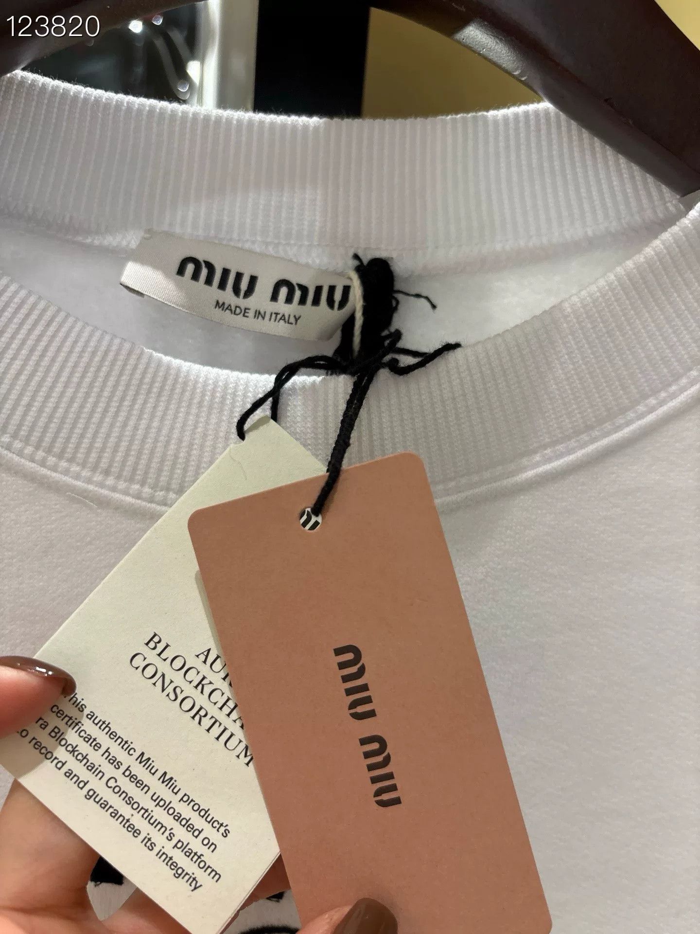 Miu Miu Miu Miu Cloud Logo Cropped Sweatshirt Size S / US 4 / IT 40 - 3 Thumbnail