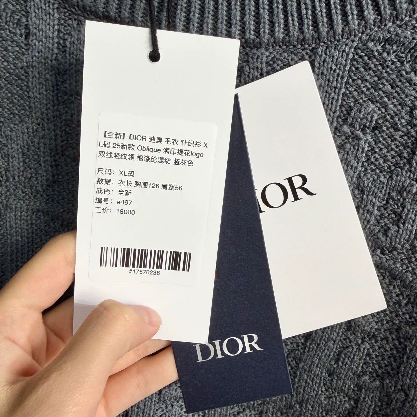 Dior Dior 2025 Oblique Logo Knit Sweater Size US XL / EU 56 / 4 - 5 Thumbnail