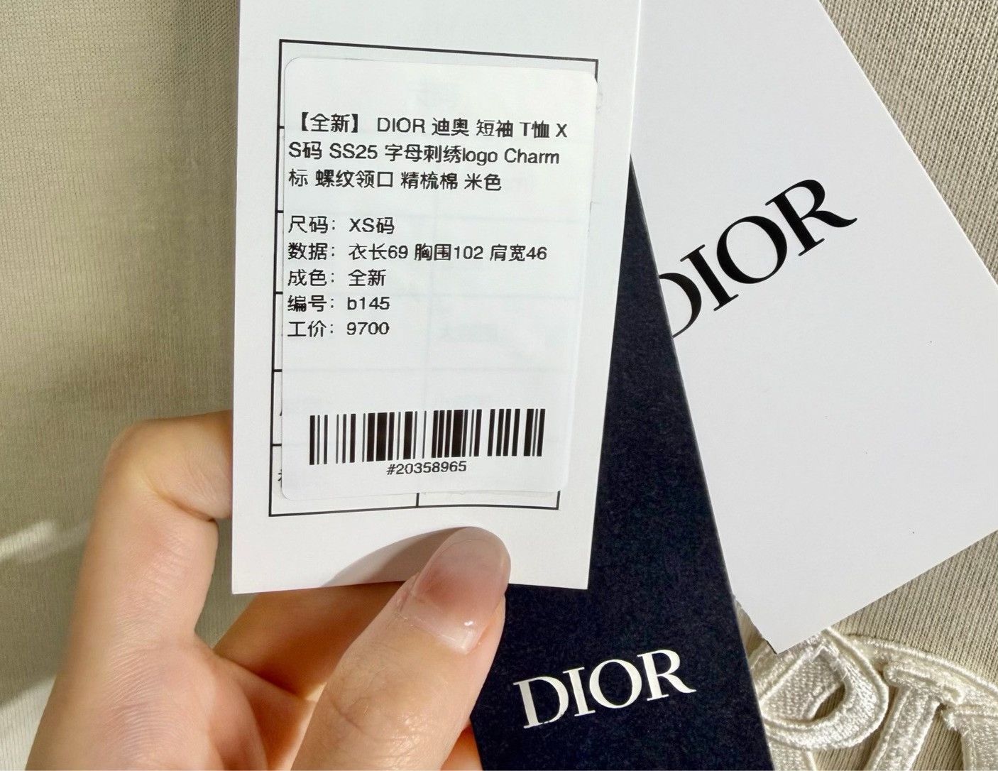 Dior DIOR SS25 Embroidered Logo XS T-Shirt Size US XS / EU 42 / 0 - 5 Thumbnail