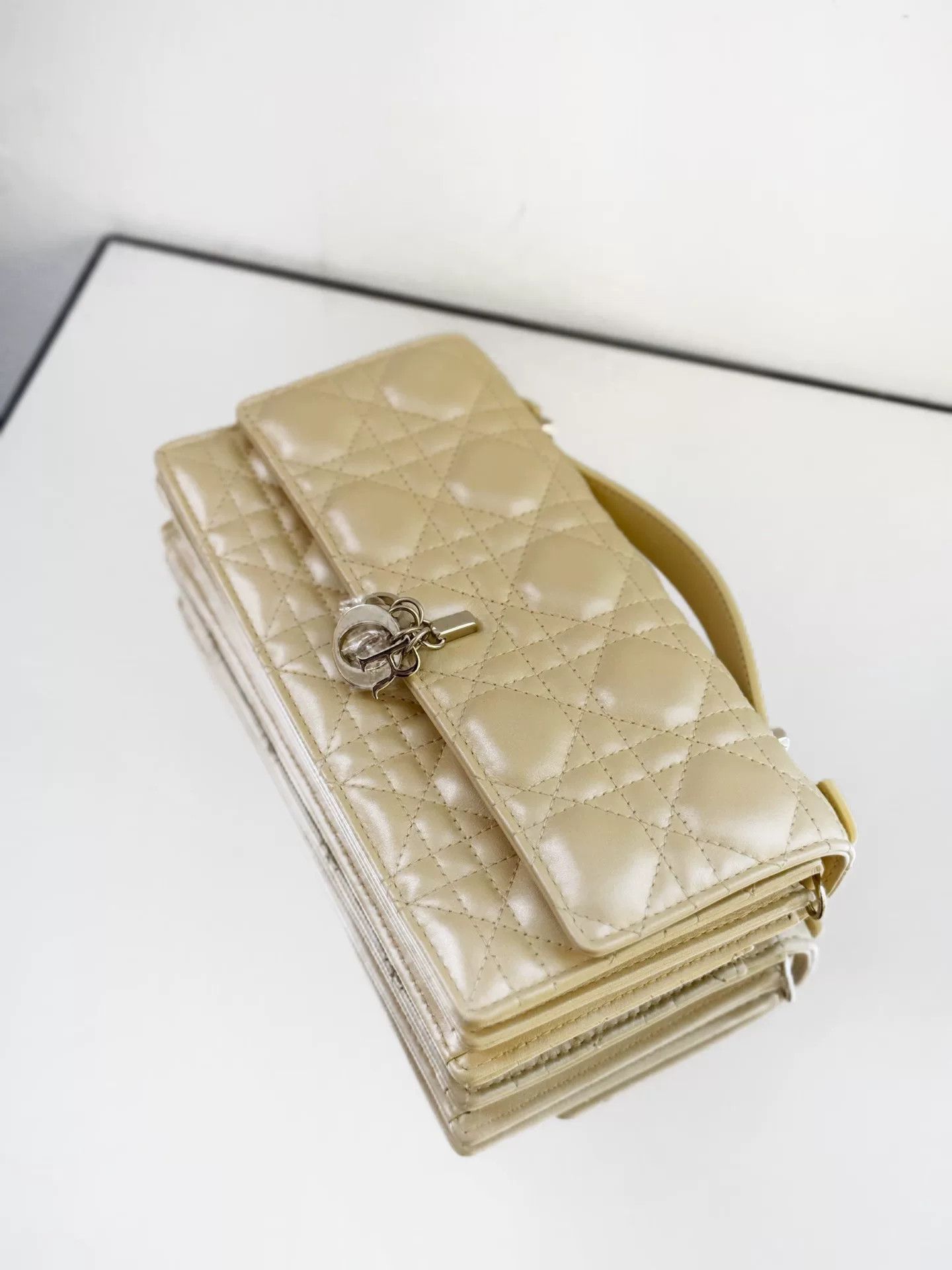 Dior Pre-loved Bag Brand new condition Size ONE SIZE - 6 Thumbnail