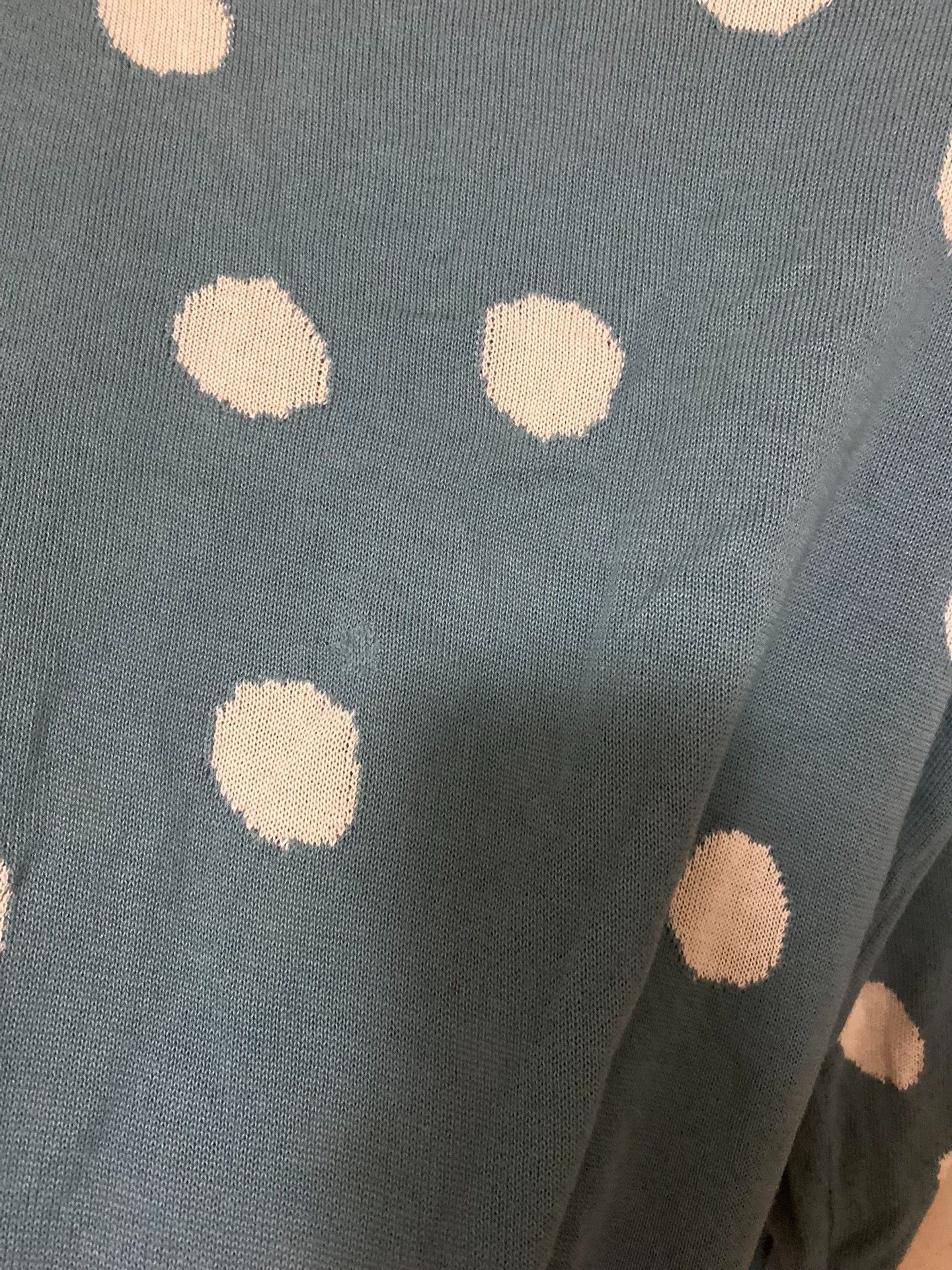 Vivienne Westwood Vivienne Westwood Puppy Blue Polka Dot Knit Coat Size M / US 6-8 / IT 42-44 - 5 Thumbnail