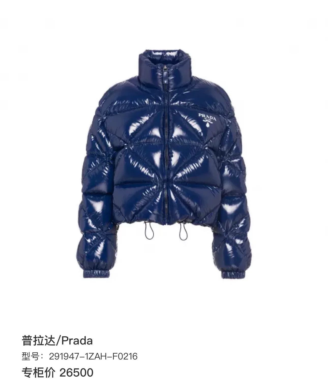 Prada Prada Shiny Quilted Logo Print Down Jacket Size XS / US 0-2 / IT 36-38 - 8 Thumbnail