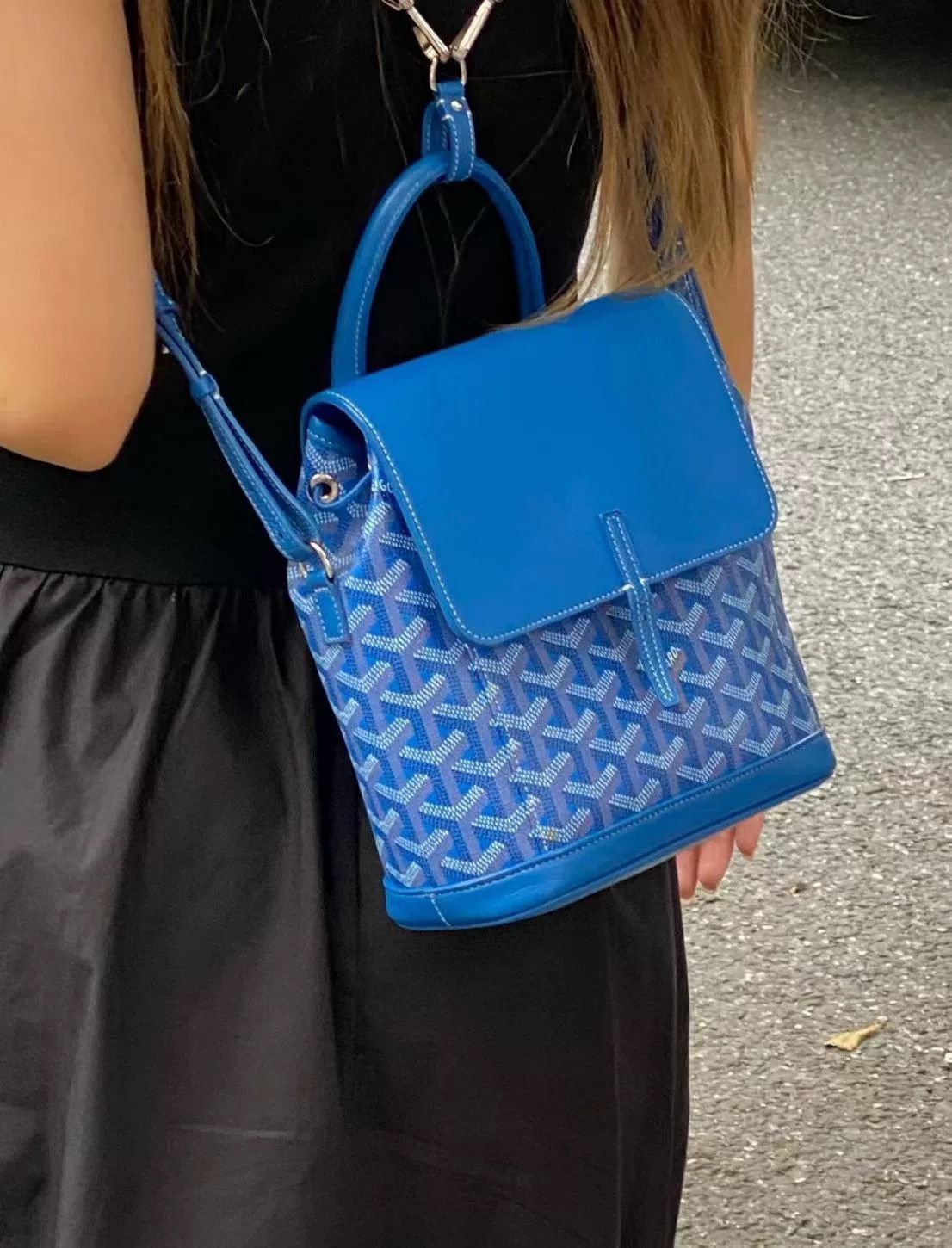Goyard Pre-loved Bag Very good condition Size ONE SIZE - 9 Thumbnail